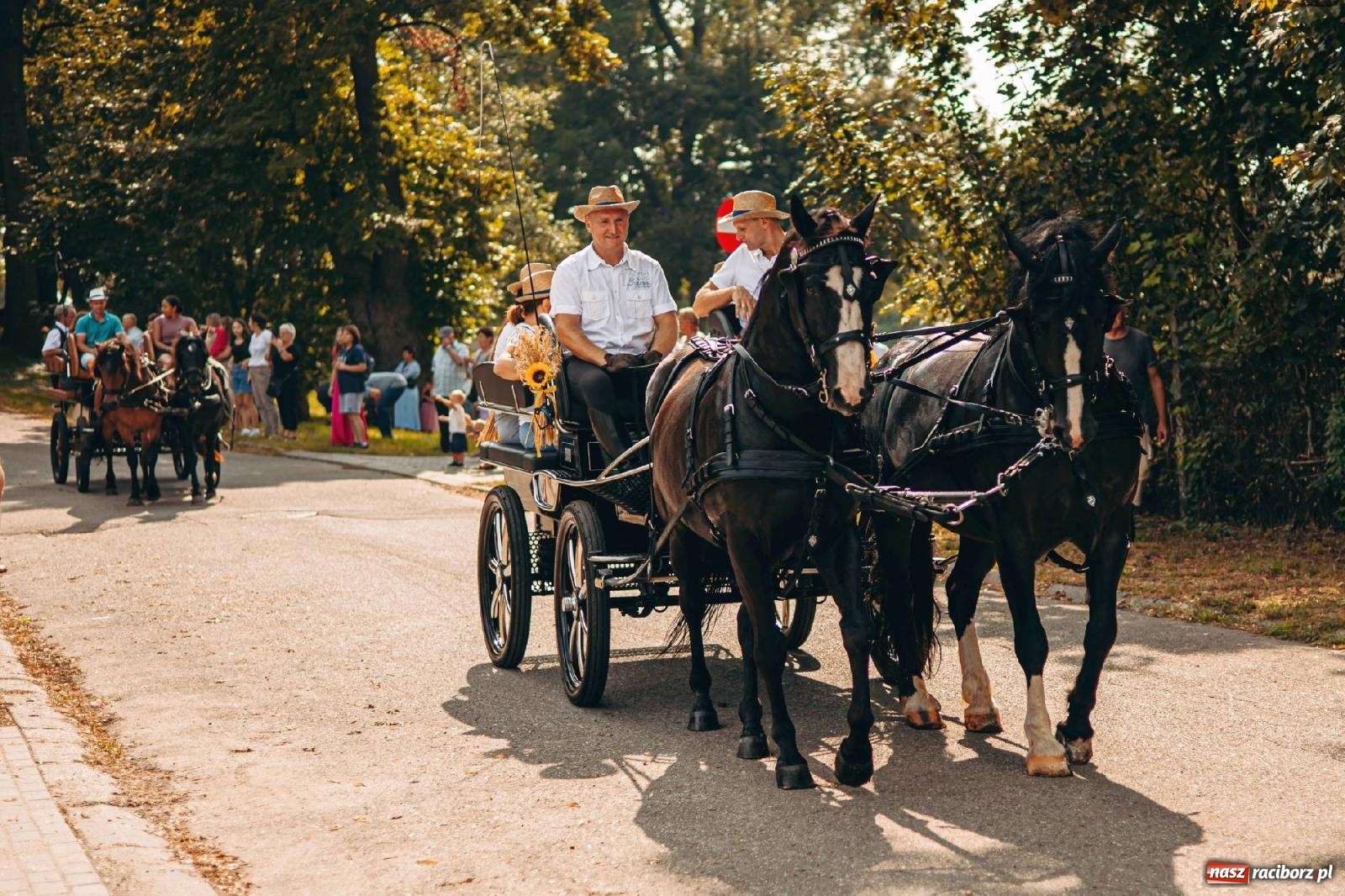 Zdjęcie w galerii na portalu naszraciborz.pl: Z Krowiarek do Amandowa. Dożynki 2023 [FOTO i WIDEO] wiadomości z regionu