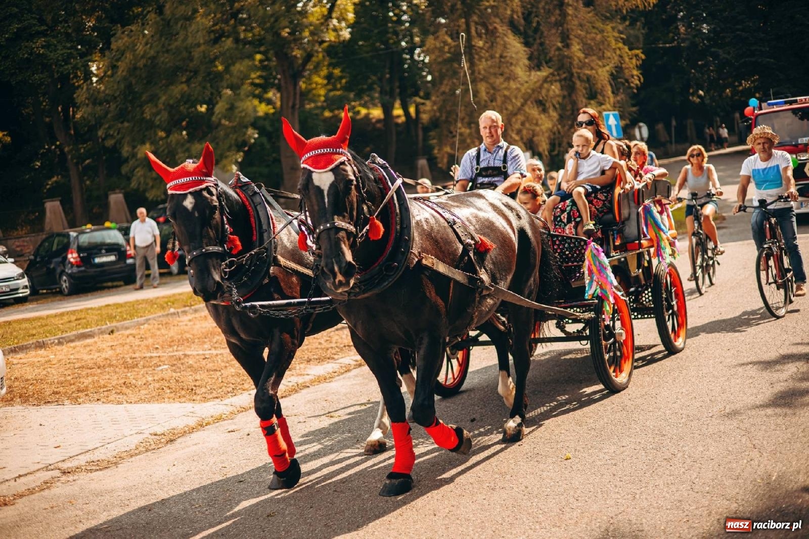 Zdjęcie w galerii na portalu naszraciborz.pl: Z Krowiarek do Amandowa. Dożynki 2023 [FOTO i WIDEO] wiadomości z regionu