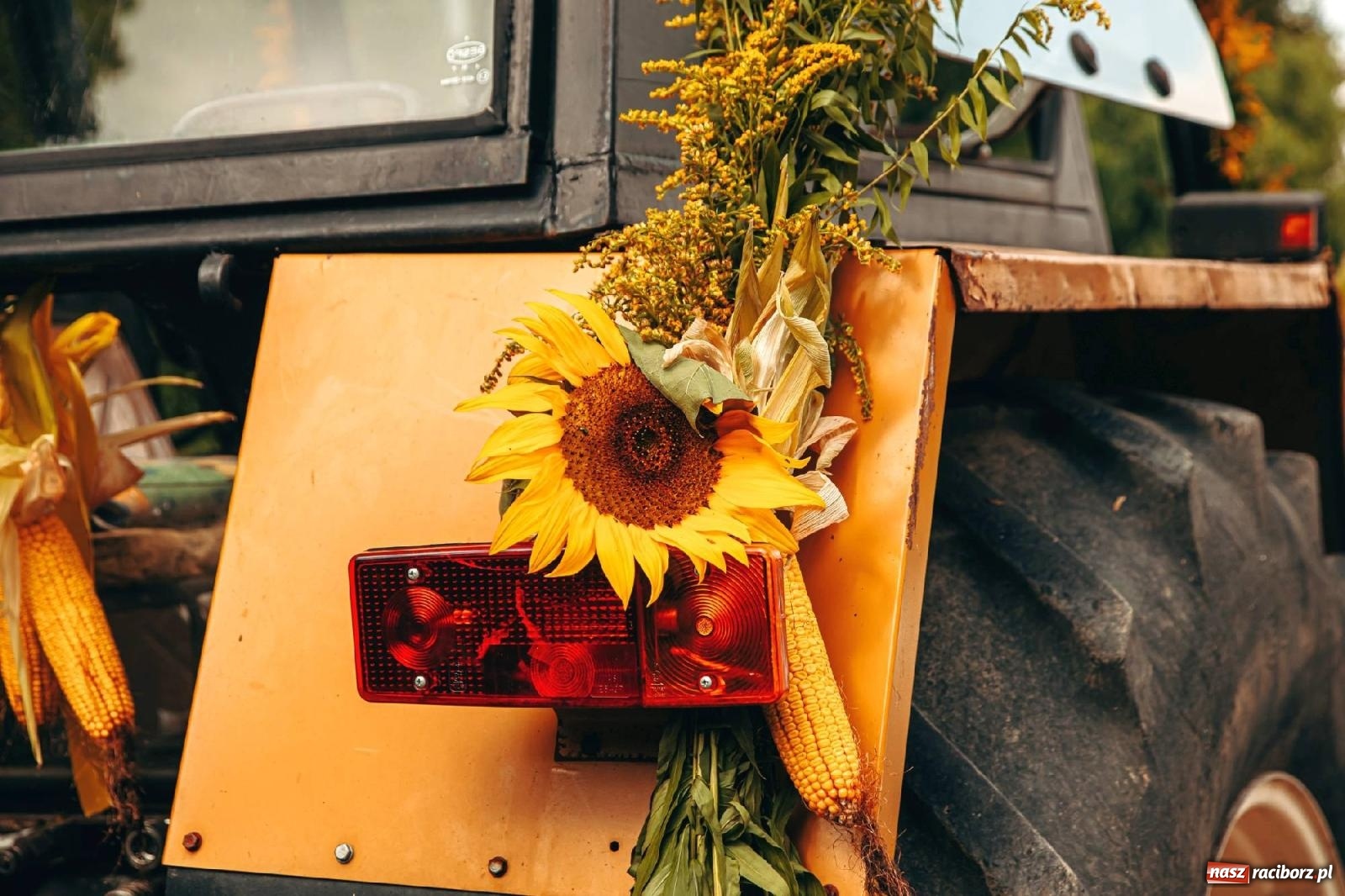 Zdjęcie w galerii na portalu naszraciborz.pl: Z Krowiarek do Amandowa. Dożynki 2023 [FOTO i WIDEO] wiadomości z regionu