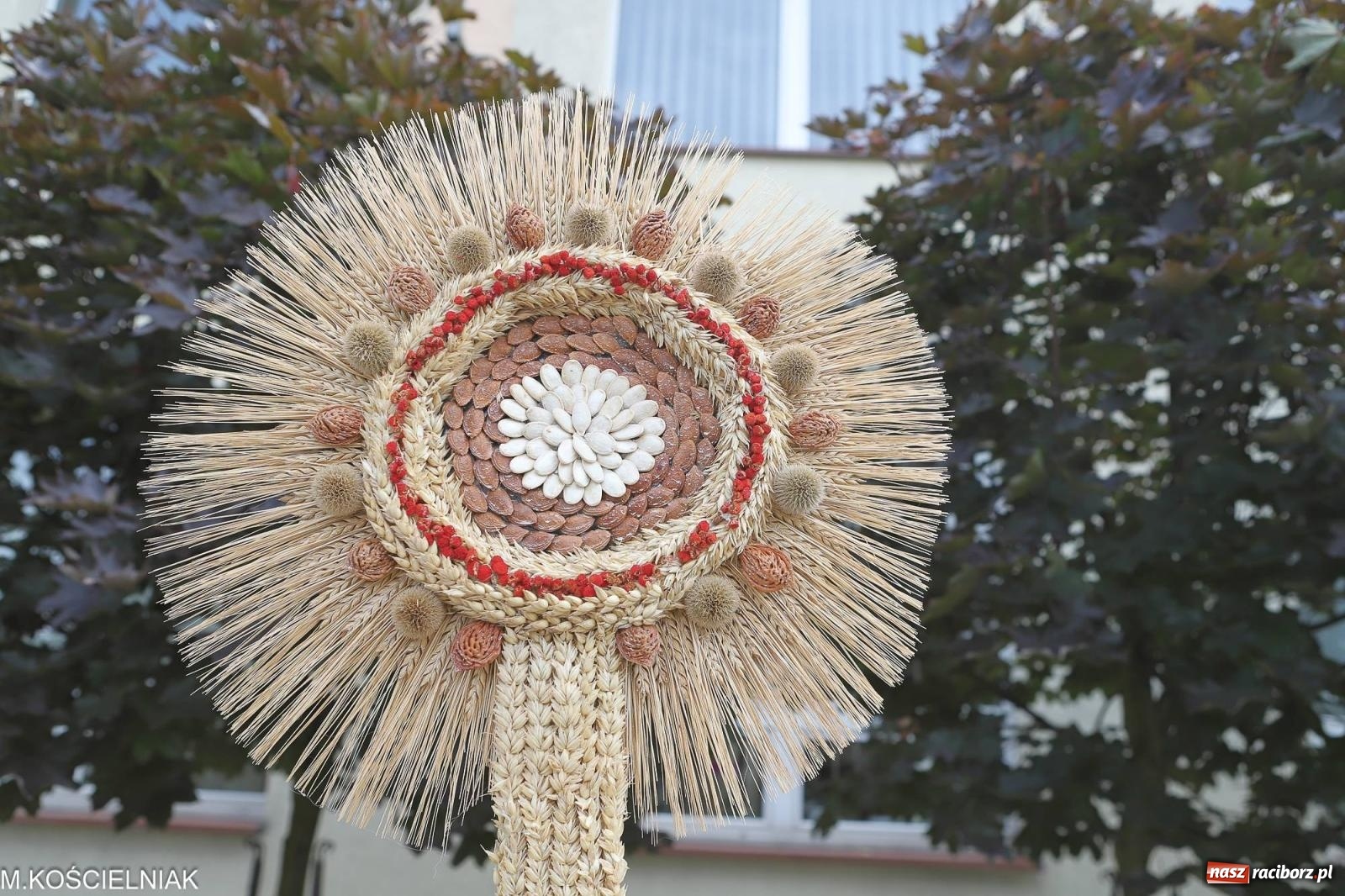 Zdjęcie w galerii na portalu naszraciborz.pl: Dożynki w Krzyżanowicach. Po co nam dalekie kraje jak nasz basen to Hawaje wiadomości z regionu