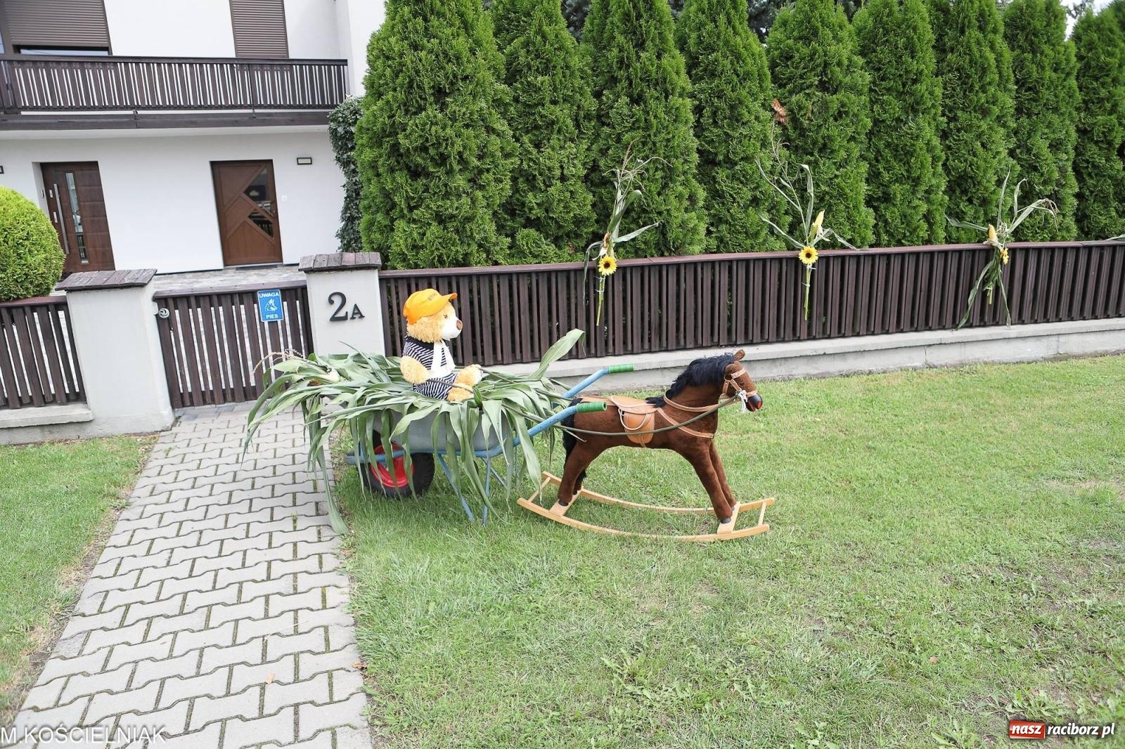 Zdjęcie w galerii na portalu naszraciborz.pl: Dożynki w Krzyżanowicach. Po co nam dalekie kraje jak nasz basen to Hawaje wiadomości z regionu