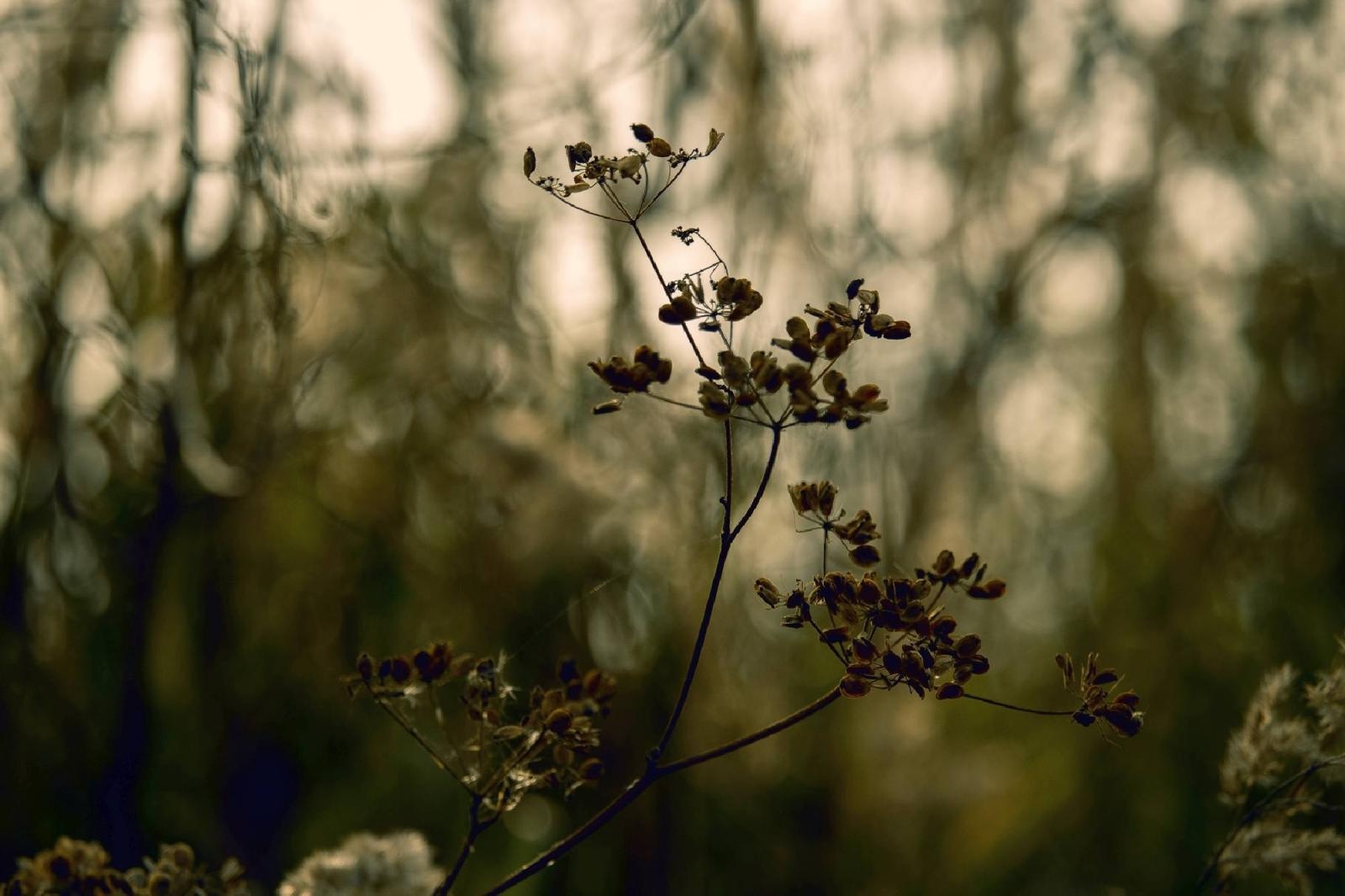 Zdjęcie w galerii na portalu naszraciborz.pl: Rozpocznij swoją artystyczną przygodę w Akademii Nauk Stosowanych w Raciborzu! wiadomości z regionu