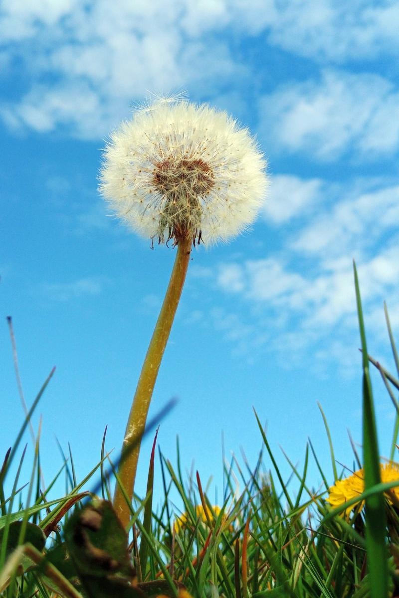 Zdjęcie w galerii na portalu naszraciborz.pl: Rozpocznij swoją artystyczną przygodę w Akademii Nauk Stosowanych w Raciborzu! wiadomości z regionu