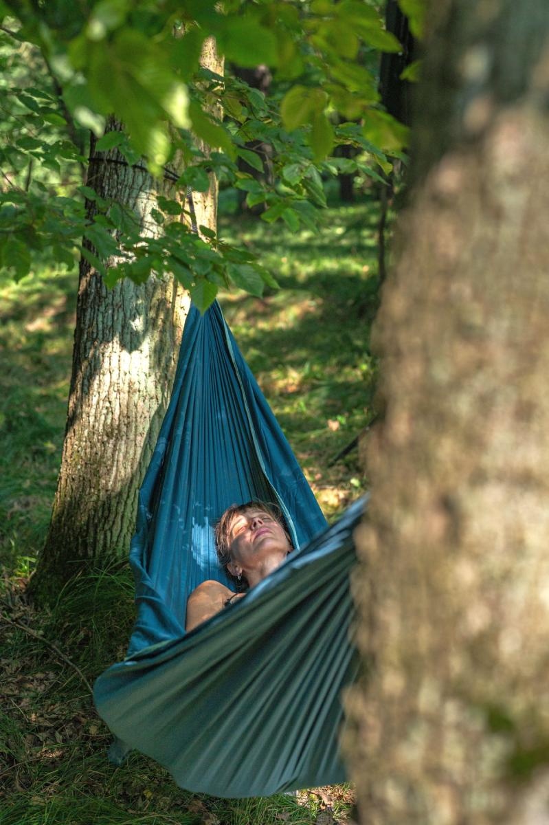 Zdjęcie w galerii na portalu naszraciborz.pl: Natura online/offline. Niecodzienne wydarzenie w Rudach wiadomości z regionu
