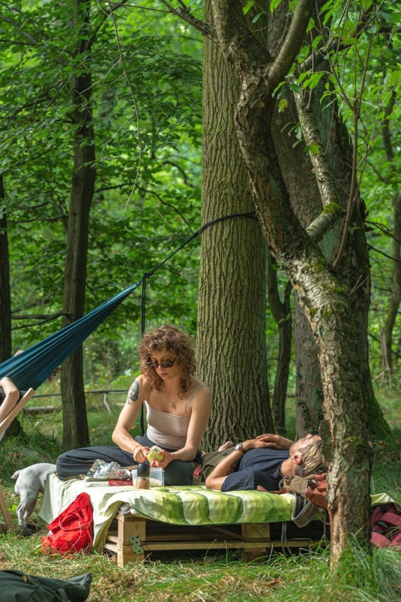 Zdjęcie w galerii na portalu naszraciborz.pl: Natura online/offline. Niecodzienne wydarzenie w Rudach wiadomości z regionu