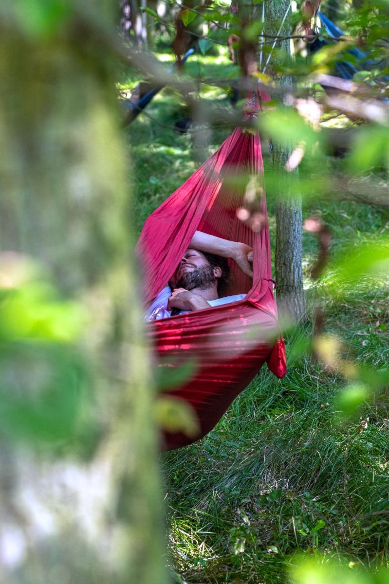 Zdjęcie w galerii na portalu naszraciborz.pl: Natura online/offline. Niecodzienne wydarzenie w Rudach wiadomości z regionu