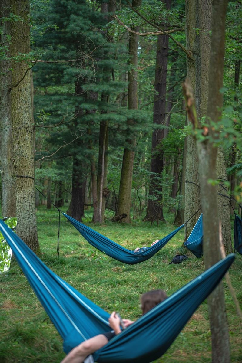 Zdjęcie w galerii na portalu naszraciborz.pl: Natura online/offline. Niecodzienne wydarzenie w Rudach wiadomości z regionu