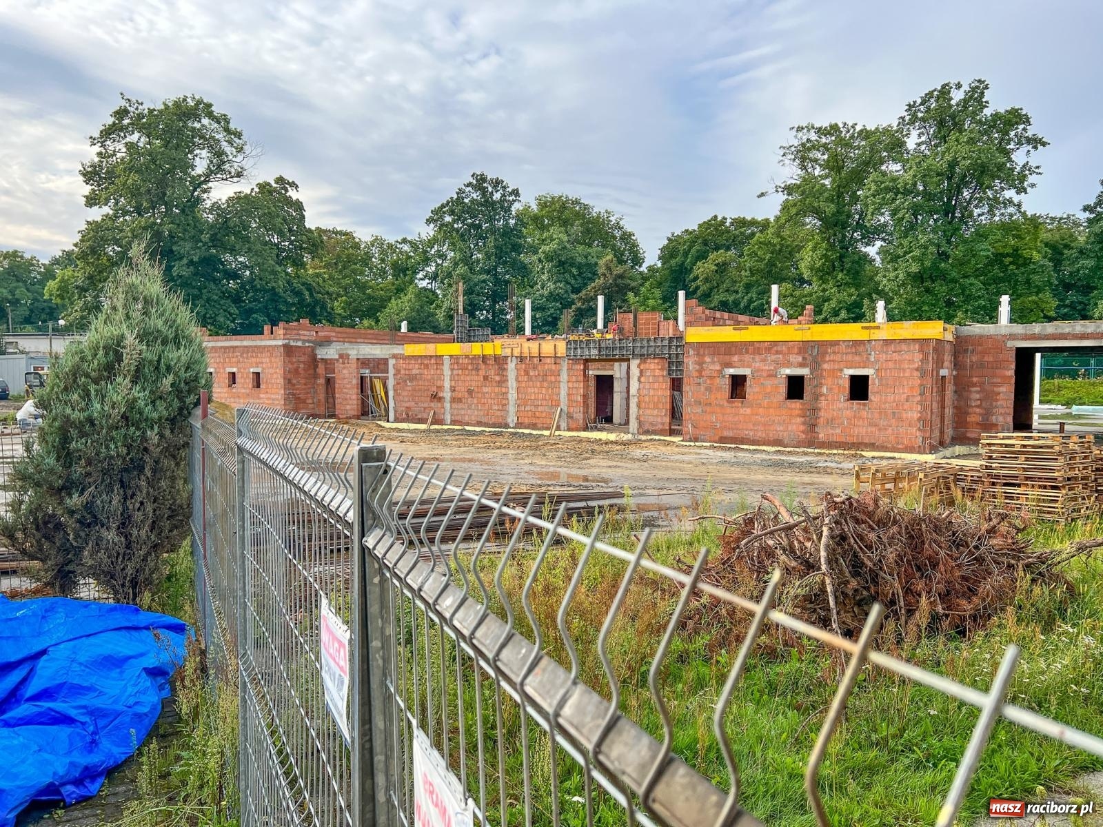 Zdjęcie w galerii na portalu naszraciborz.pl: Miała być ślizgawka, jest sądowy nakaz i kłótnie w urzędzie wiadomości z regionu