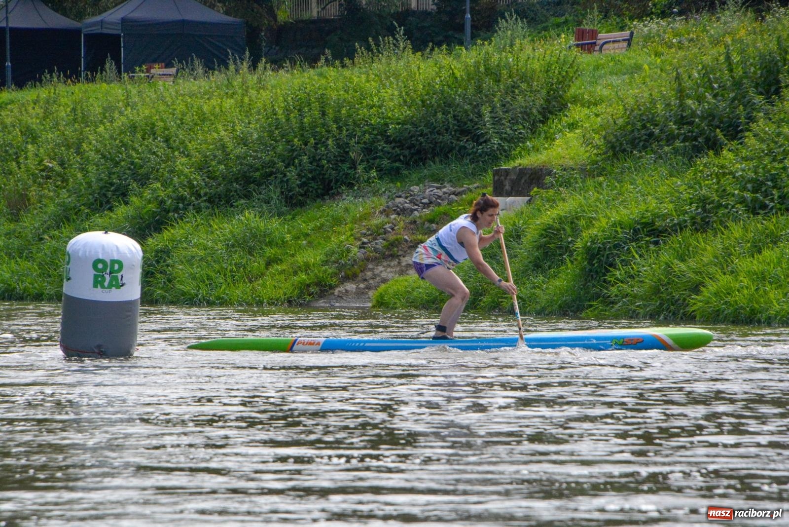 Zdjęcie w galerii na portalu naszraciborz.pl: Odra SUP CUP 2023. Wodniacka rywalizacja w Raciborzu wiadomości z regionu