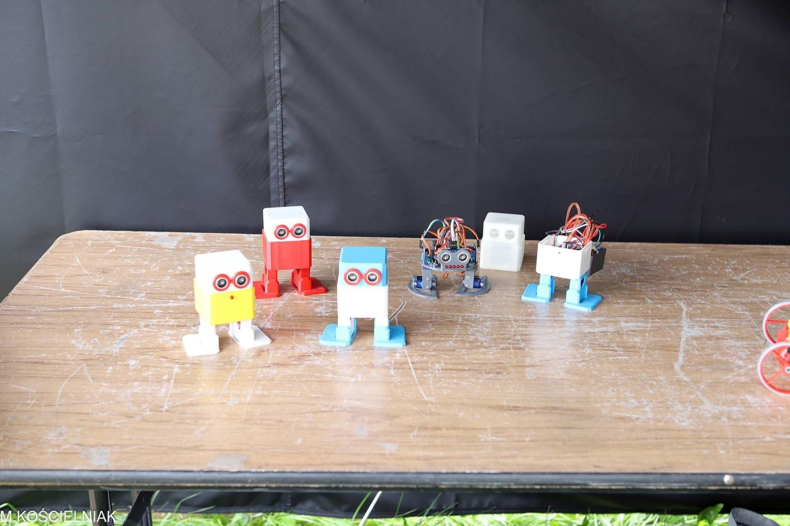 Zdjęcie w galerii na portalu naszraciborz.pl: Festiwal Odkrywców na raciborskich bulwarach wiadomości z regionu