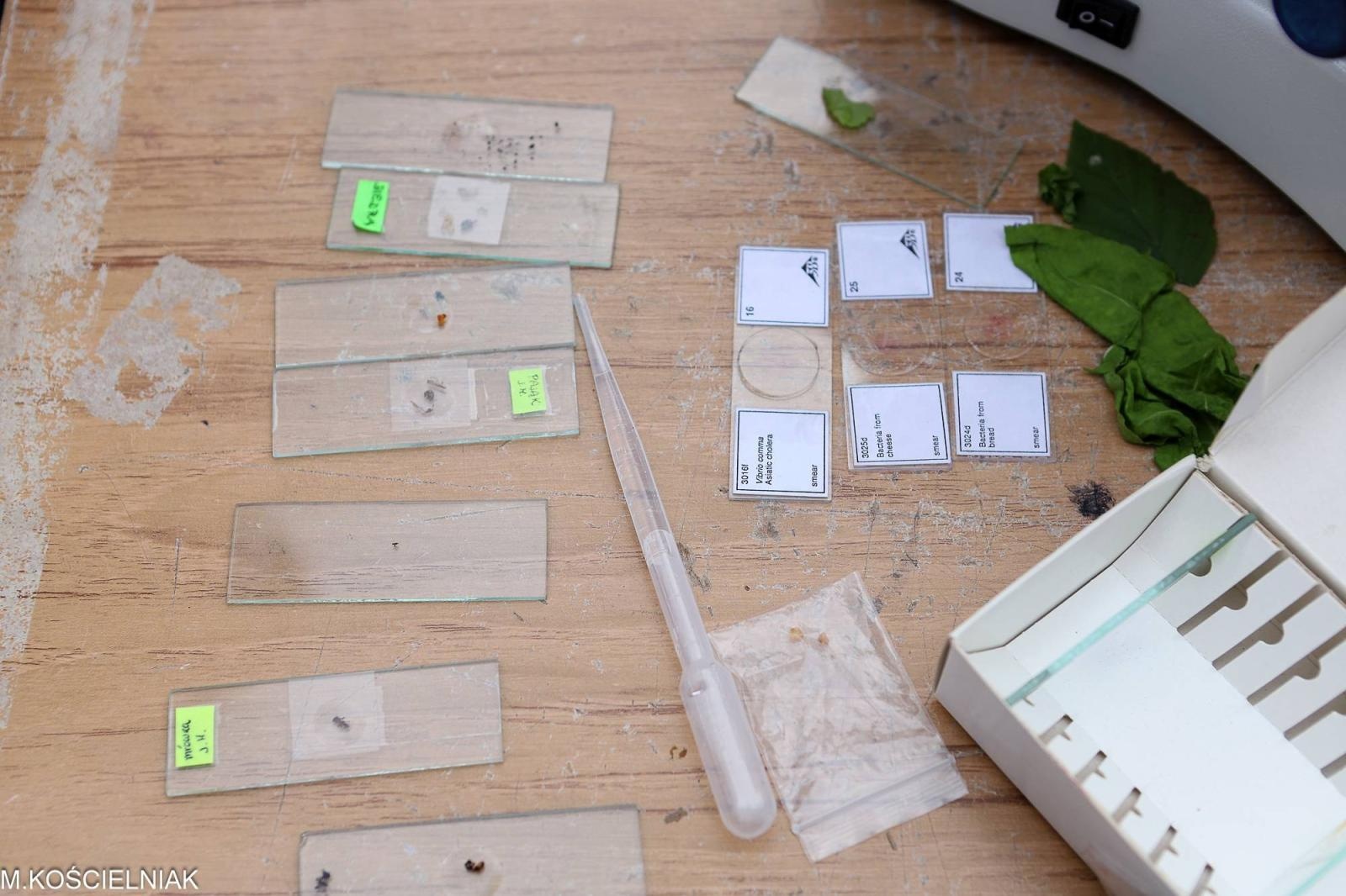 Zdjęcie w galerii na portalu naszraciborz.pl: Festiwal Odkrywców na raciborskich bulwarach wiadomości z regionu