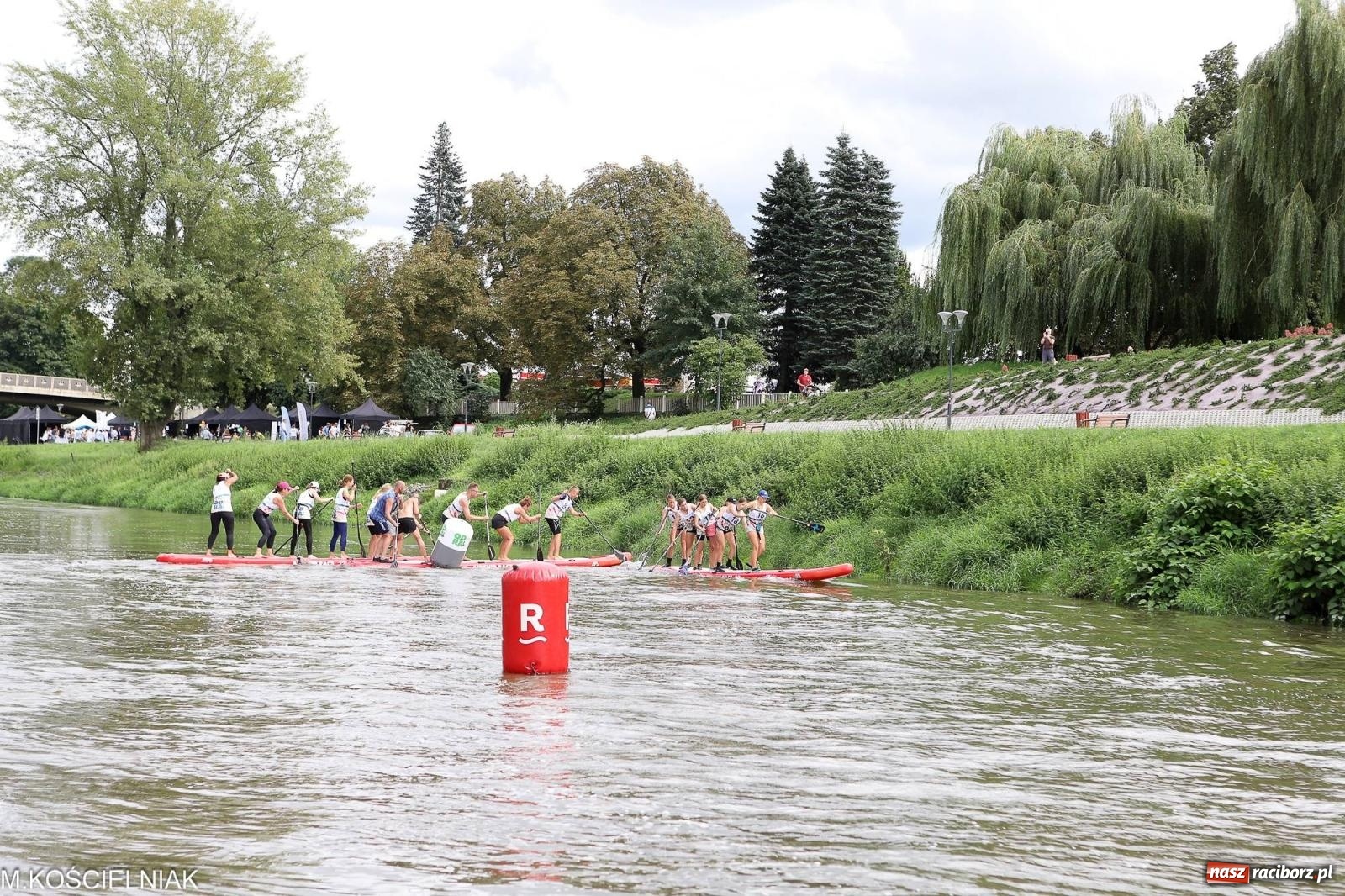 Zdjęcie w galerii na portalu naszraciborz.pl: Odra SUP CUP 2023. Wyścigi DRAGON RACE pod zamkiem wiadomości z regionu