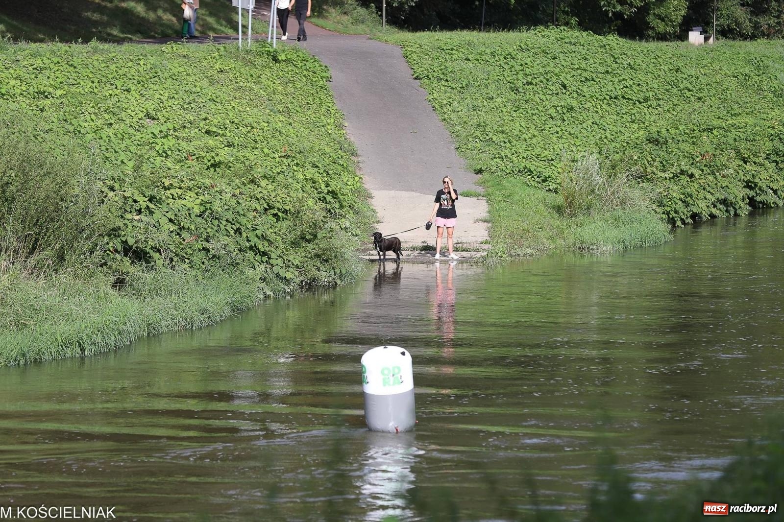Zdjęcie w galerii na portalu naszraciborz.pl: Odra SUP CUP 2023. Wyścigi DRAGON RACE pod zamkiem wiadomości z regionu