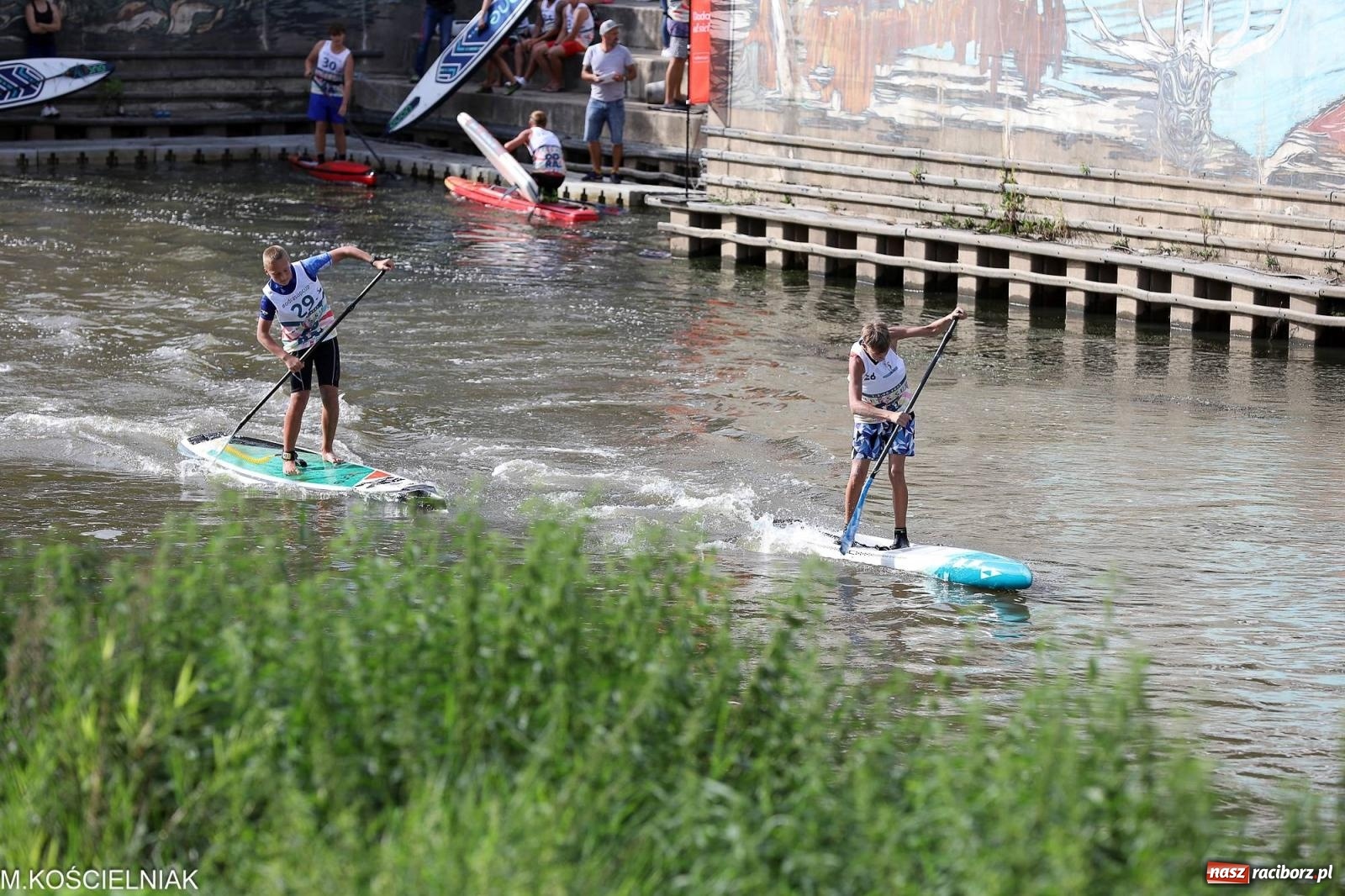Zdjęcie w galerii na portalu naszraciborz.pl: Odra SUP CUP 2023. Wyścigi DRAGON RACE pod zamkiem wiadomości z regionu