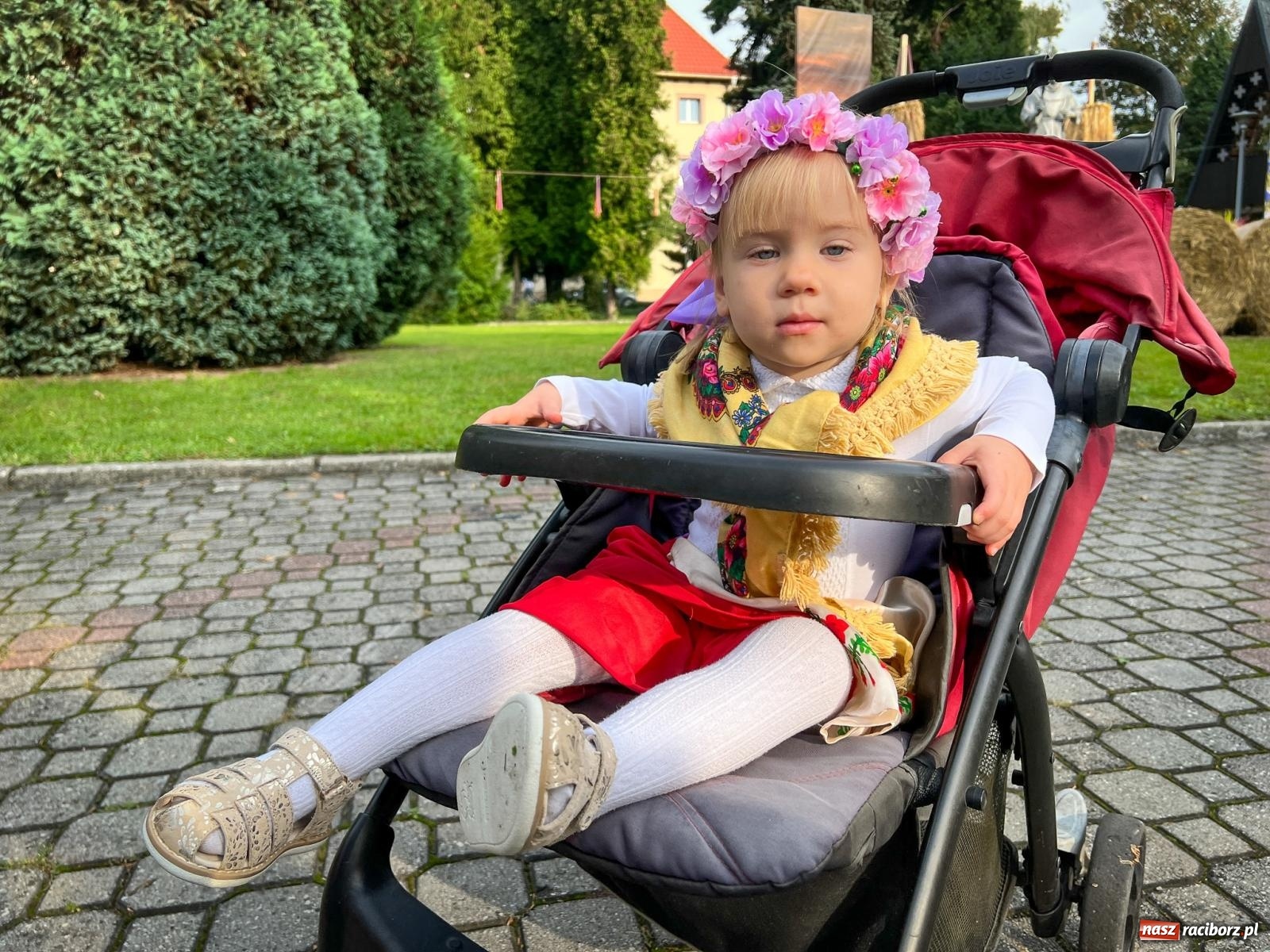 Zdjęcie w galerii na portalu naszraciborz.pl: Dożynki 2023. Na Płoni dziękowali za plony [FOTO i WIDEO] wiadomości z regionu