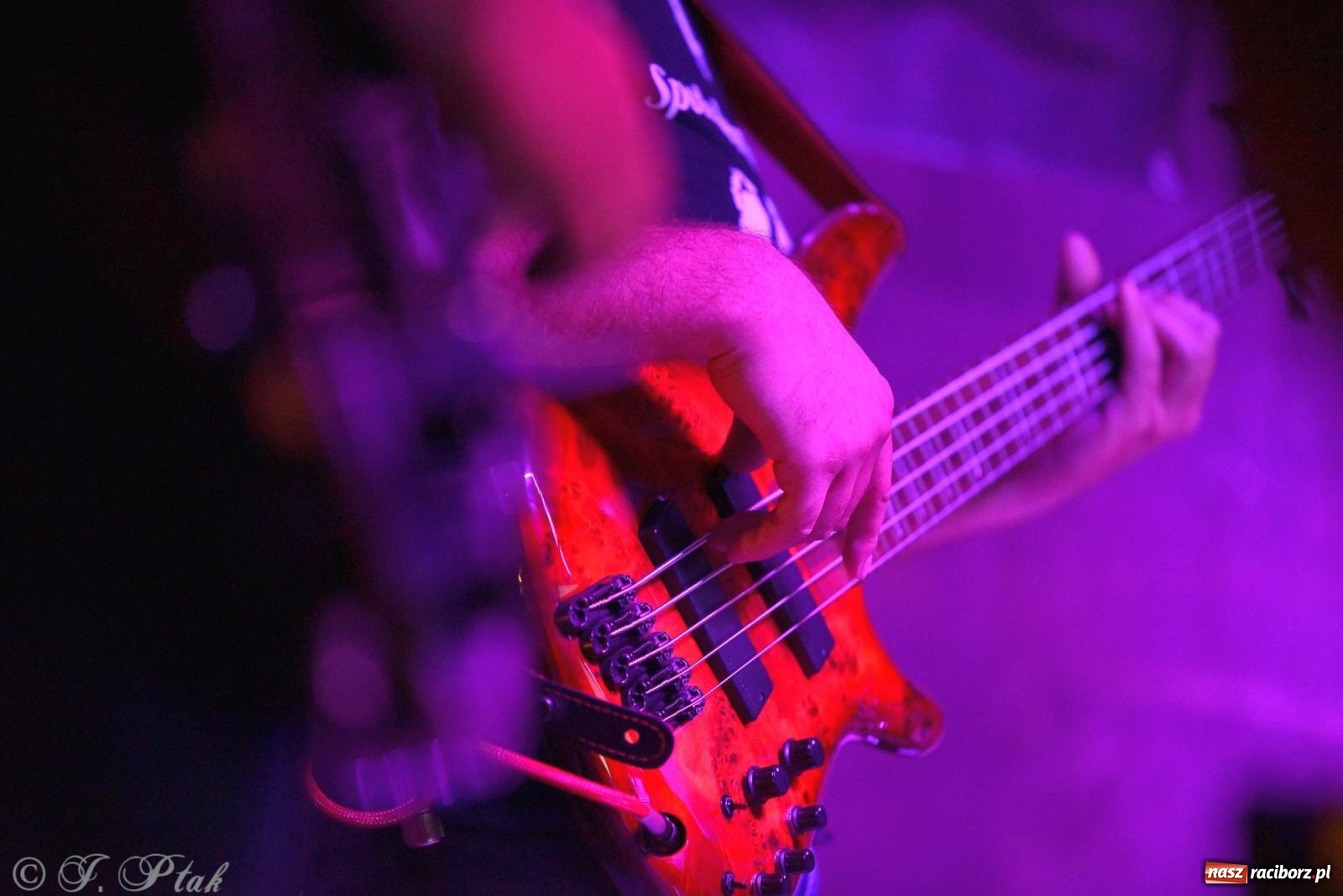 Zdjęcie w galerii na portalu naszraciborz.pl: Festiwal Spotkałem Pana. Wieczór Uwielbienia [FOTO i WIDEO] wiadomości z regionu