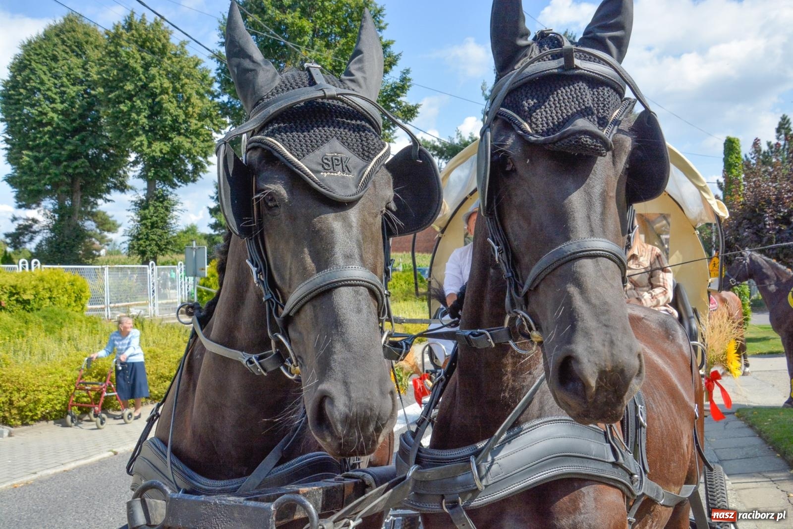 Zdjęcie w galerii na portalu naszraciborz.pl: Z Cyprzanowa do Pietrowic Wielkich. Dożynki gminne 2023 [FOTO i WIDEO] wiadomości z regionu