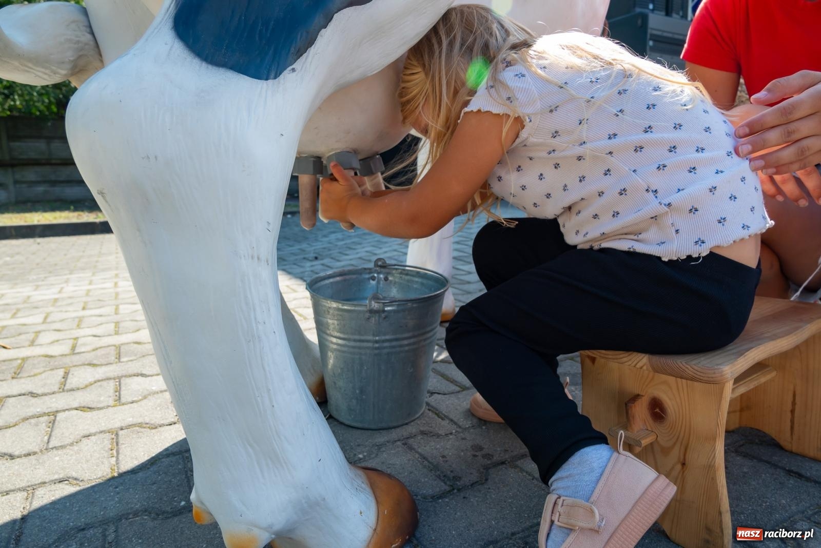 Zdjęcie w galerii na portalu naszraciborz.pl: Z Cyprzanowa do Pietrowic Wielkich. Dożynki gminne 2023 [FOTO i WIDEO] wiadomości z regionu