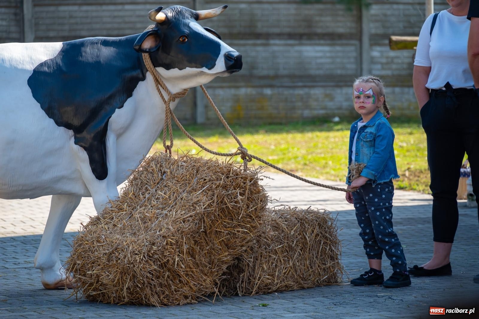 Zdjęcie w galerii na portalu naszraciborz.pl: Z Cyprzanowa do Pietrowic Wielkich. Dożynki gminne 2023 [FOTO i WIDEO] wiadomości z regionu