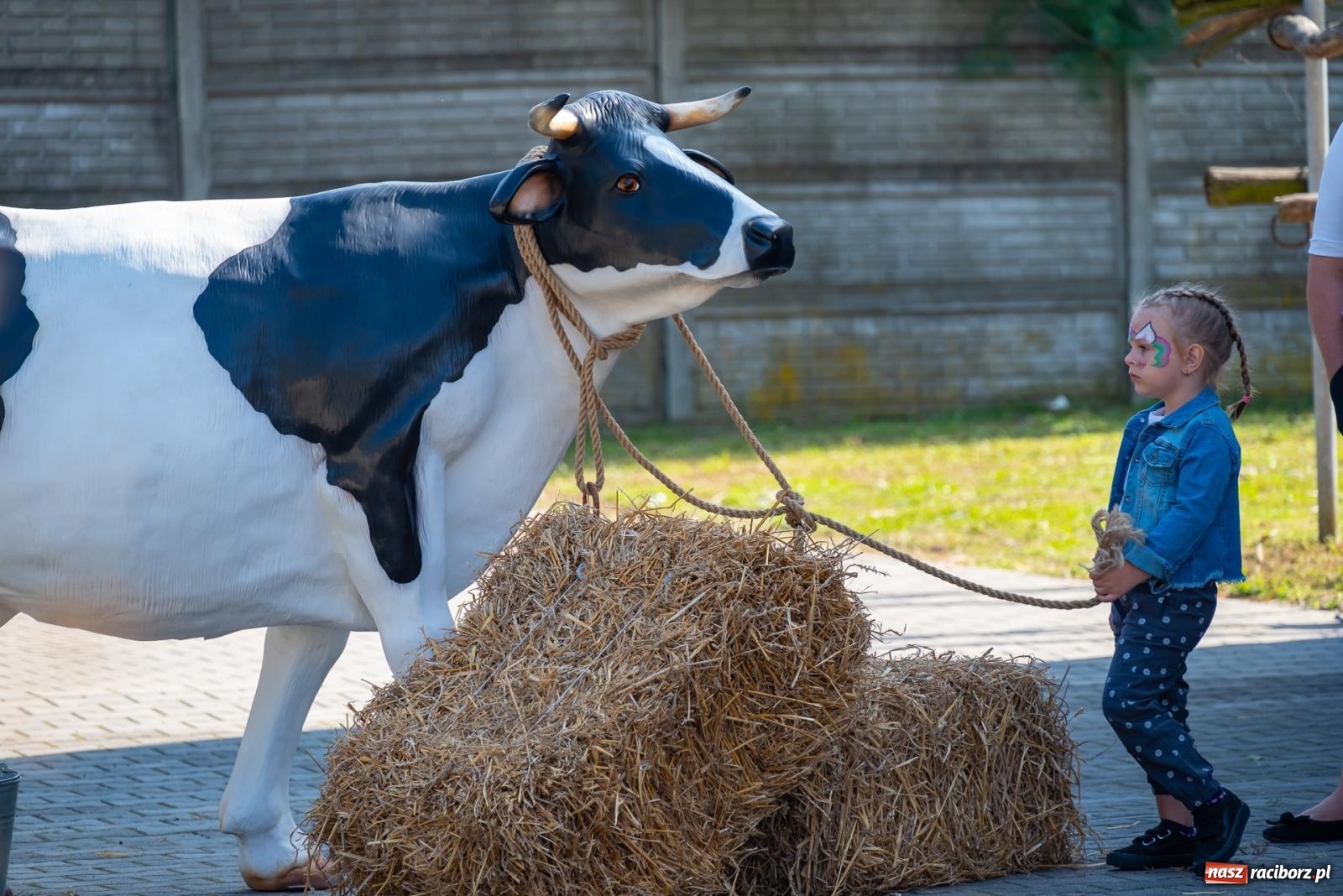 Zdjęcie w galerii na portalu naszraciborz.pl: Z Cyprzanowa do Pietrowic Wielkich. Dożynki gminne 2023 [FOTO i WIDEO] wiadomości z regionu