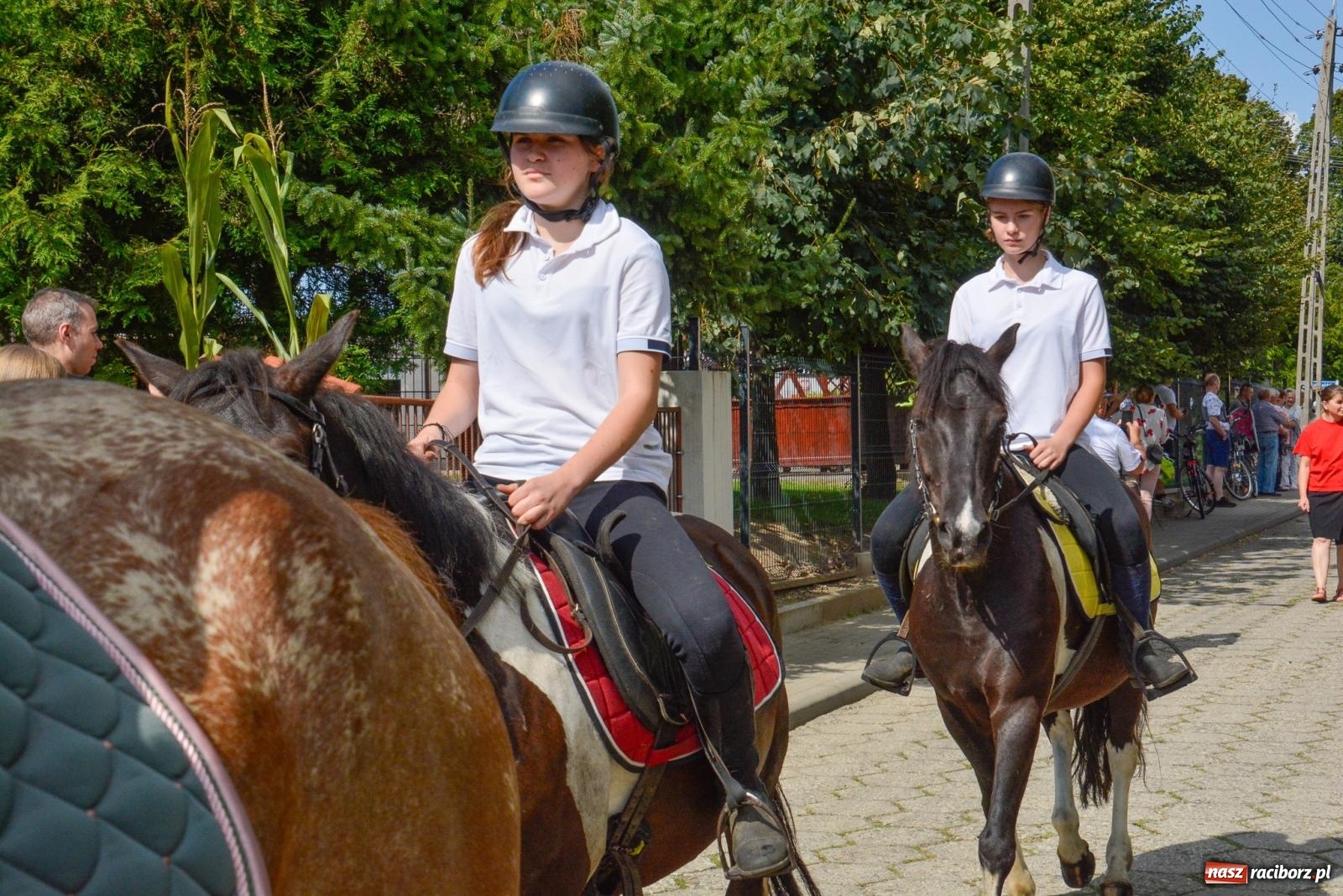 Zdjęcie w galerii na portalu naszraciborz.pl: W Borucinie pokazali moc. Dożynki 2023 [FOTO i WIDEO] wiadomości z regionu