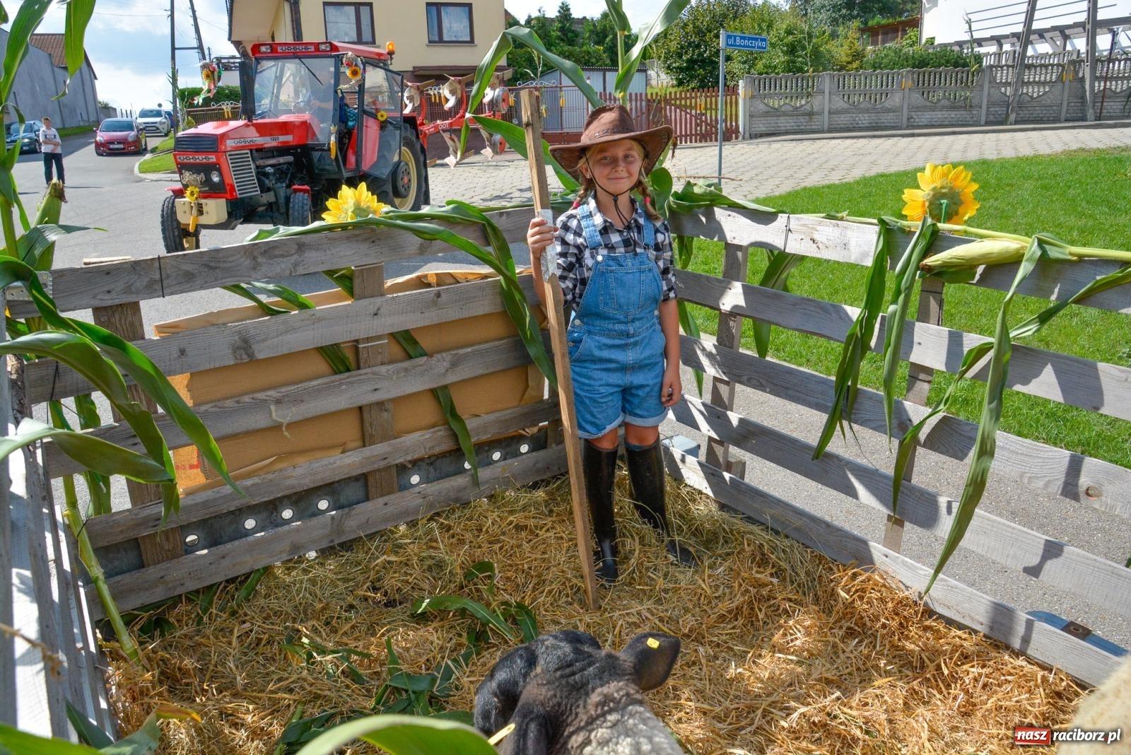 Zdjęcie w galerii na portalu naszraciborz.pl: W Borucinie pokazali moc. Dożynki 2023 [FOTO i WIDEO] wiadomości z regionu