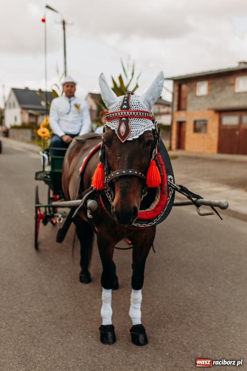 Zdjęcie w galerii na portalu naszraciborz.pl: Rolnik szuka żony, bo zebrał dobre plony. Dożynki w Sudole [FOTO i WIDEO] wiadomości z regionu