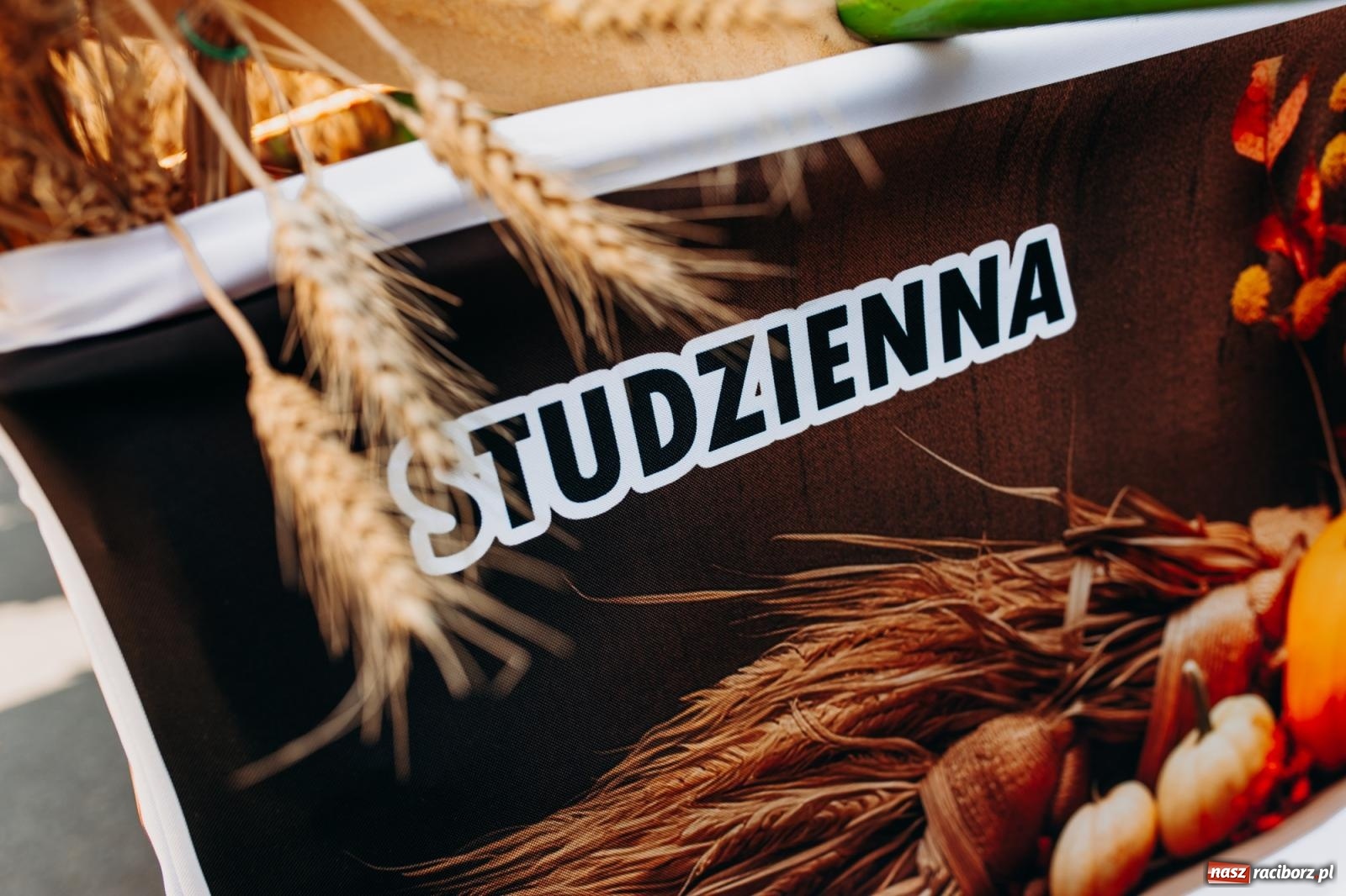 Zdjęcie w galerii na portalu naszraciborz.pl: Tak się bawi Studzienna! Dożynki 2023 [FOTO i WIDEO] wiadomości z regionu