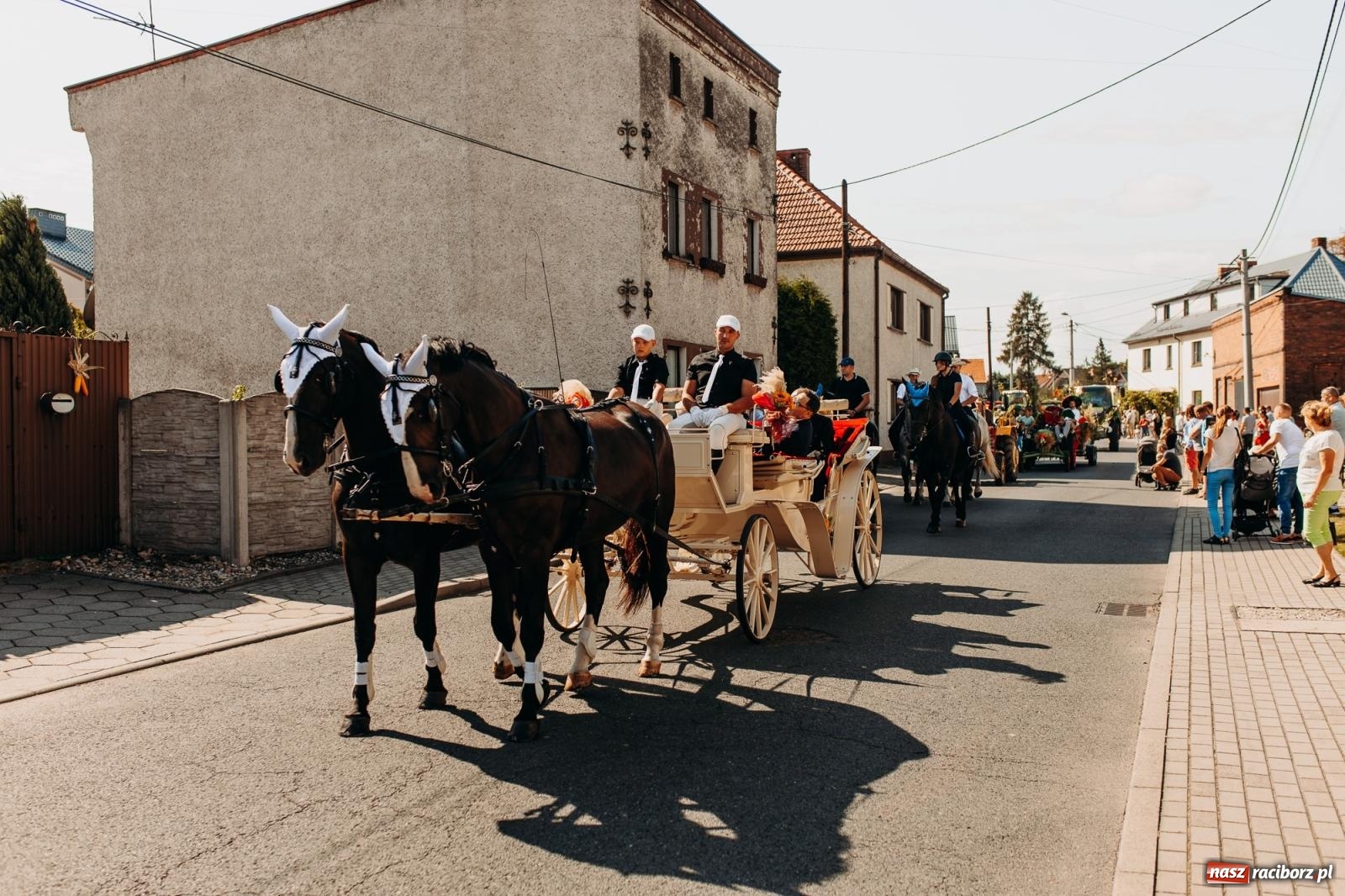 Zdjęcie w galerii na portalu naszraciborz.pl: Tak się bawi Studzienna! Dożynki 2023 [FOTO i WIDEO] wiadomości z regionu