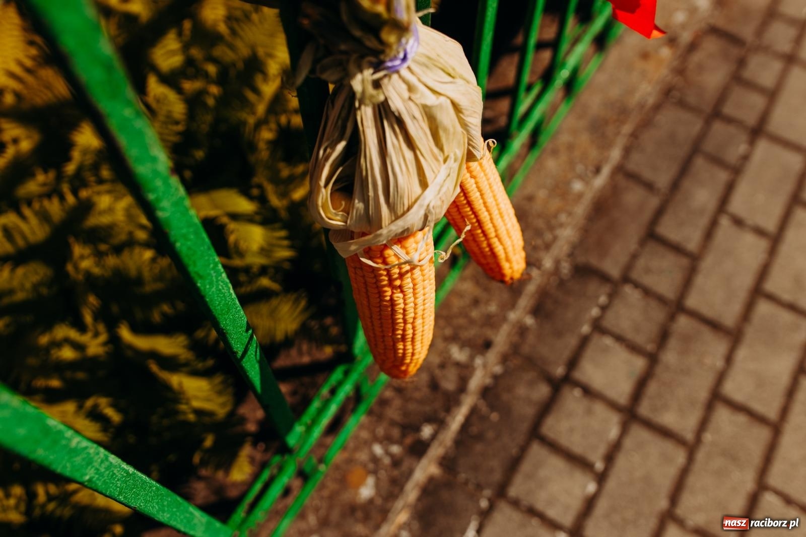 Zdjęcie w galerii na portalu naszraciborz.pl: Tak się bawi Studzienna! Dożynki 2023 [FOTO i WIDEO] wiadomości z regionu