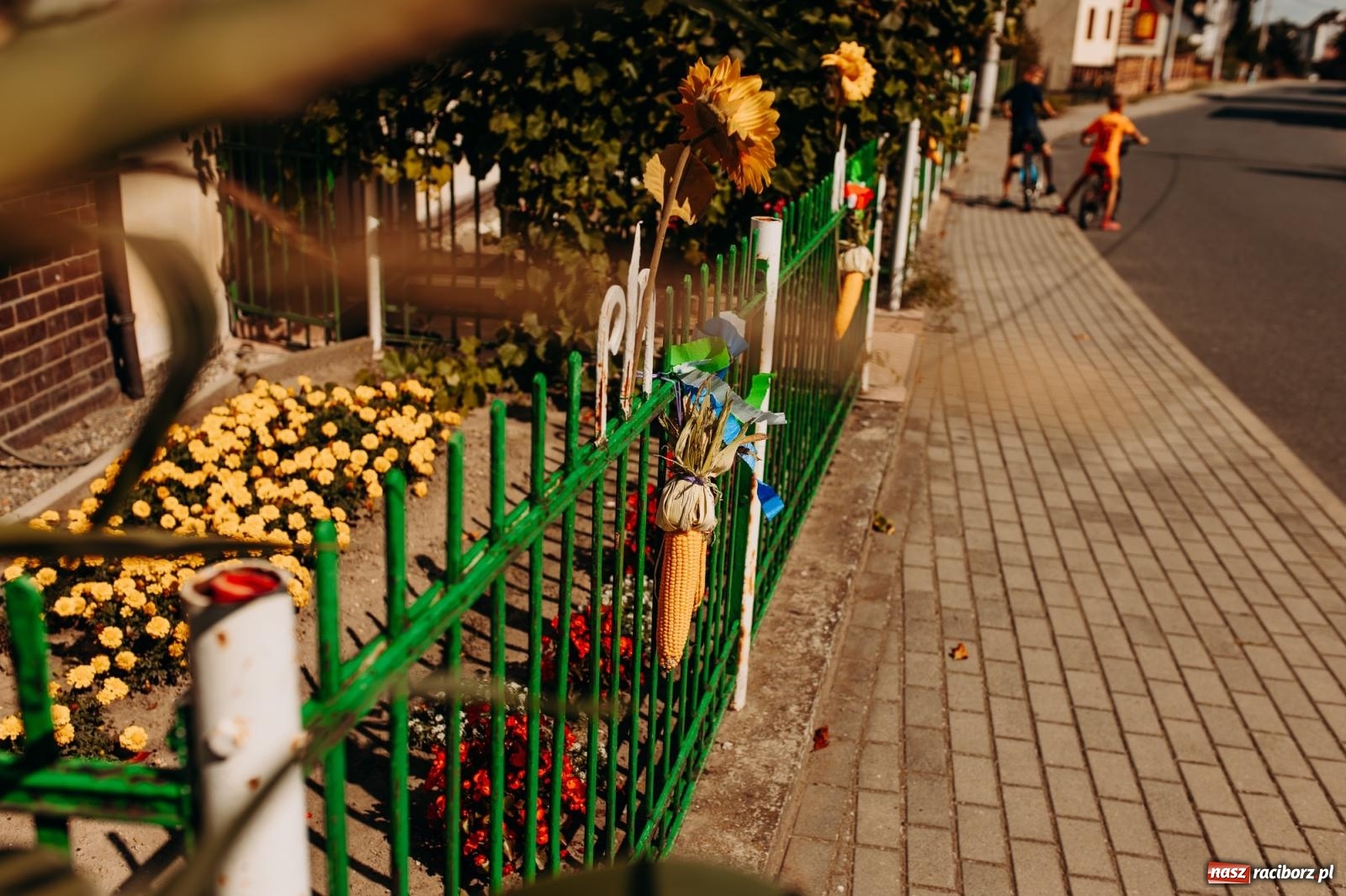 Zdjęcie w galerii na portalu naszraciborz.pl: Tak się bawi Studzienna! Dożynki 2023 [FOTO i WIDEO] wiadomości z regionu