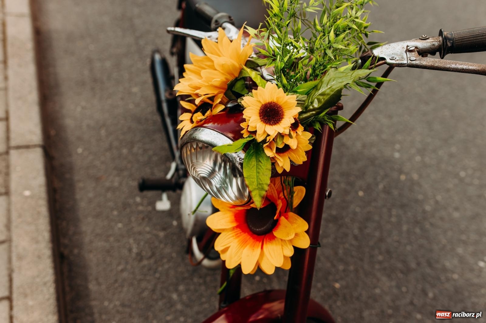 Zdjęcie w galerii na portalu naszraciborz.pl: Tak się bawi Studzienna! Dożynki 2023 [FOTO i WIDEO] wiadomości z regionu