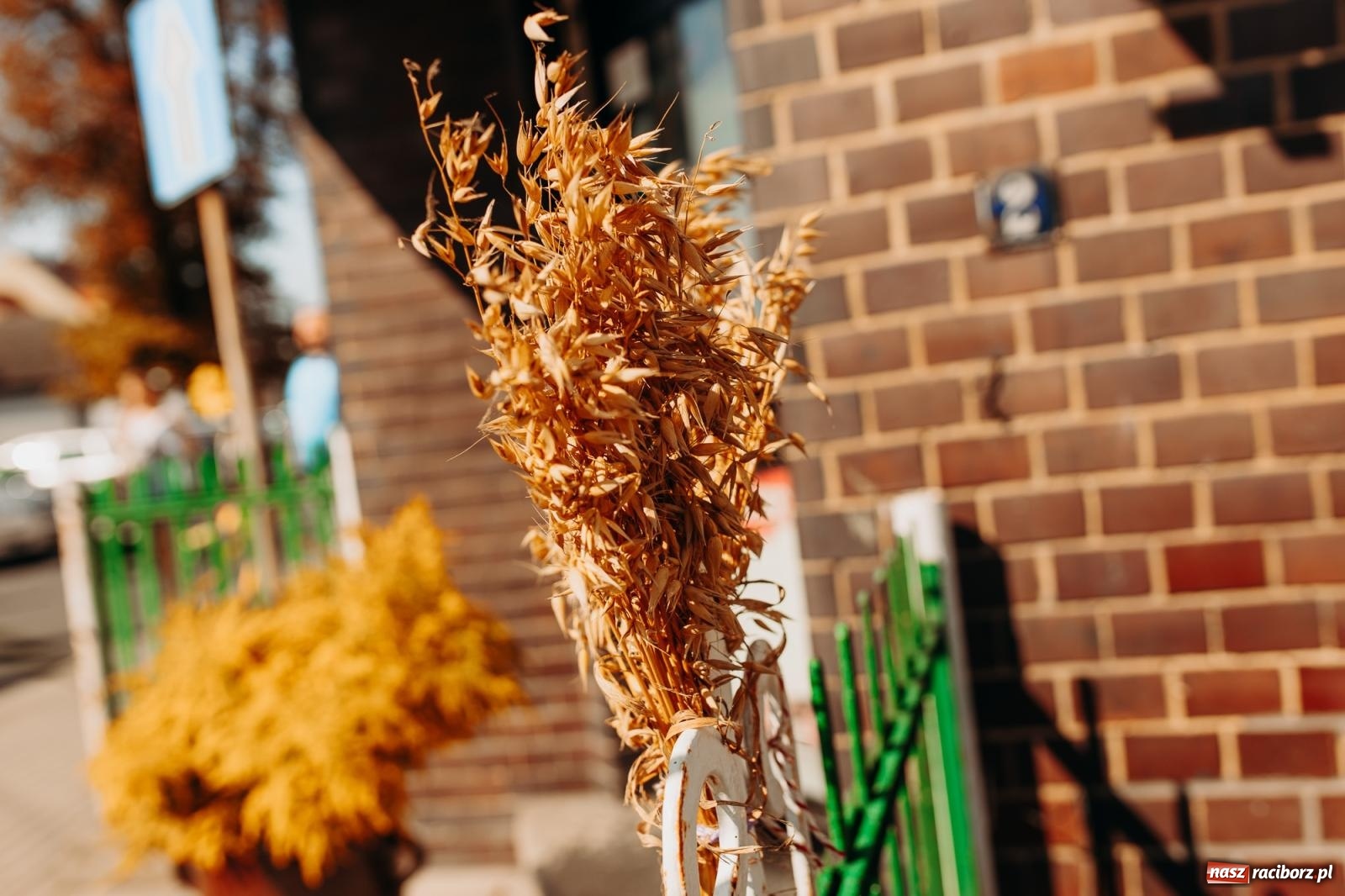 Zdjęcie w galerii na portalu naszraciborz.pl: Tak się bawi Studzienna! Dożynki 2023 [FOTO i WIDEO] wiadomości z regionu