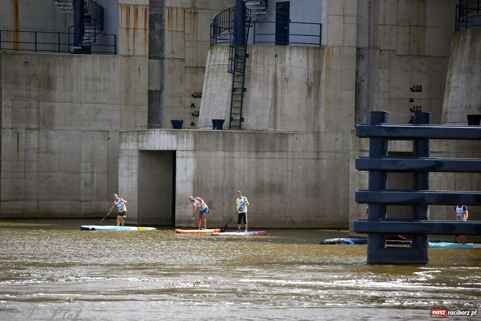 Zdjęcie w galerii na portalu naszraciborz.pl: Śmiałkowie pod zaporą. Najdłuższy dystans Odra Sup Cup 2023 [FOTO i WIDEO] wiadomości z regionu