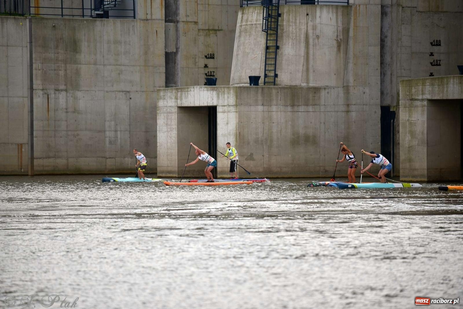 Zdjęcie w galerii na portalu naszraciborz.pl: Śmiałkowie pod zaporą. Najdłuższy dystans Odra Sup Cup 2023 [FOTO i WIDEO] wiadomości z regionu