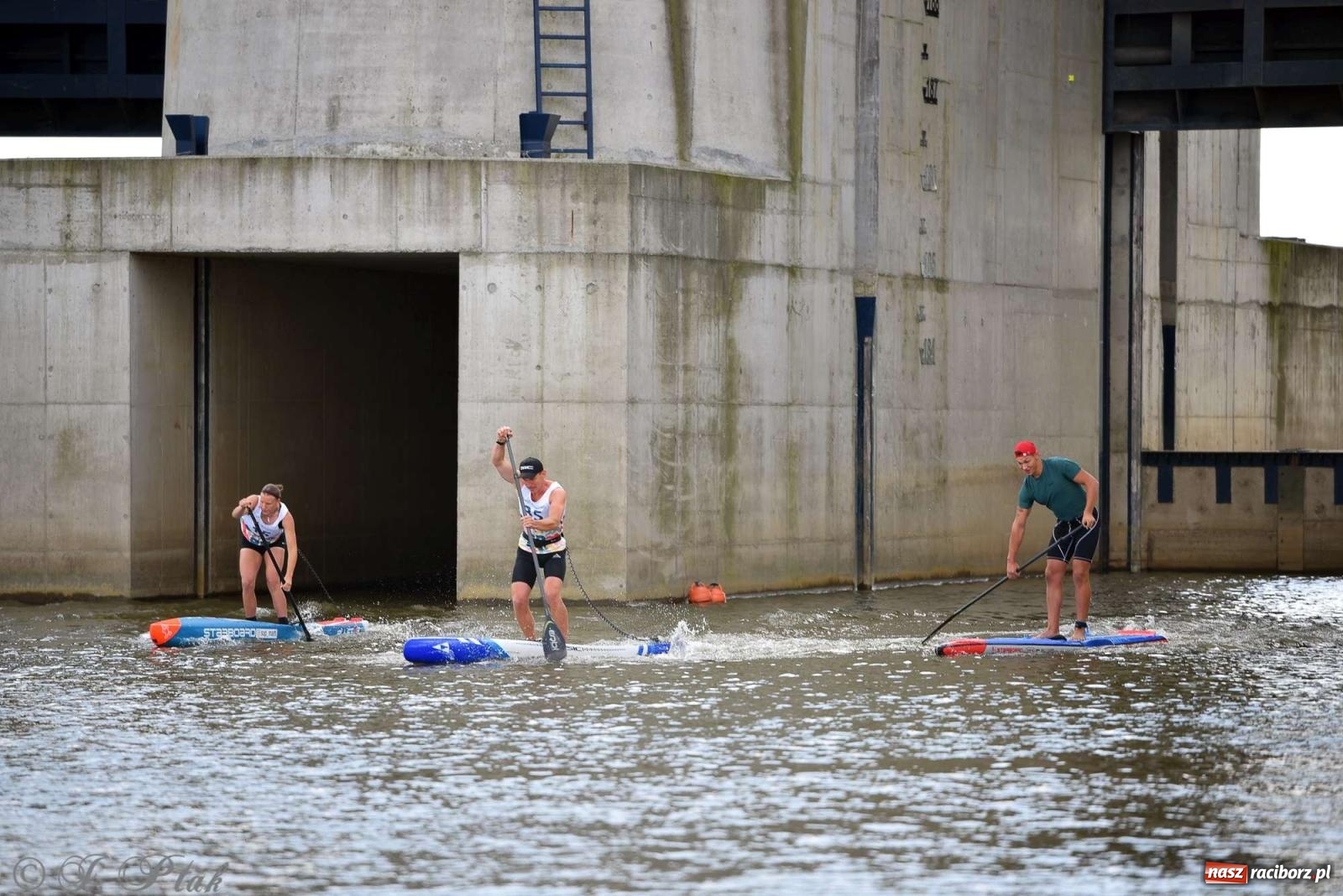 Zdjęcie w galerii na portalu naszraciborz.pl: Śmiałkowie pod zaporą. Najdłuższy dystans Odra Sup Cup 2023 [FOTO i WIDEO] wiadomości z regionu
