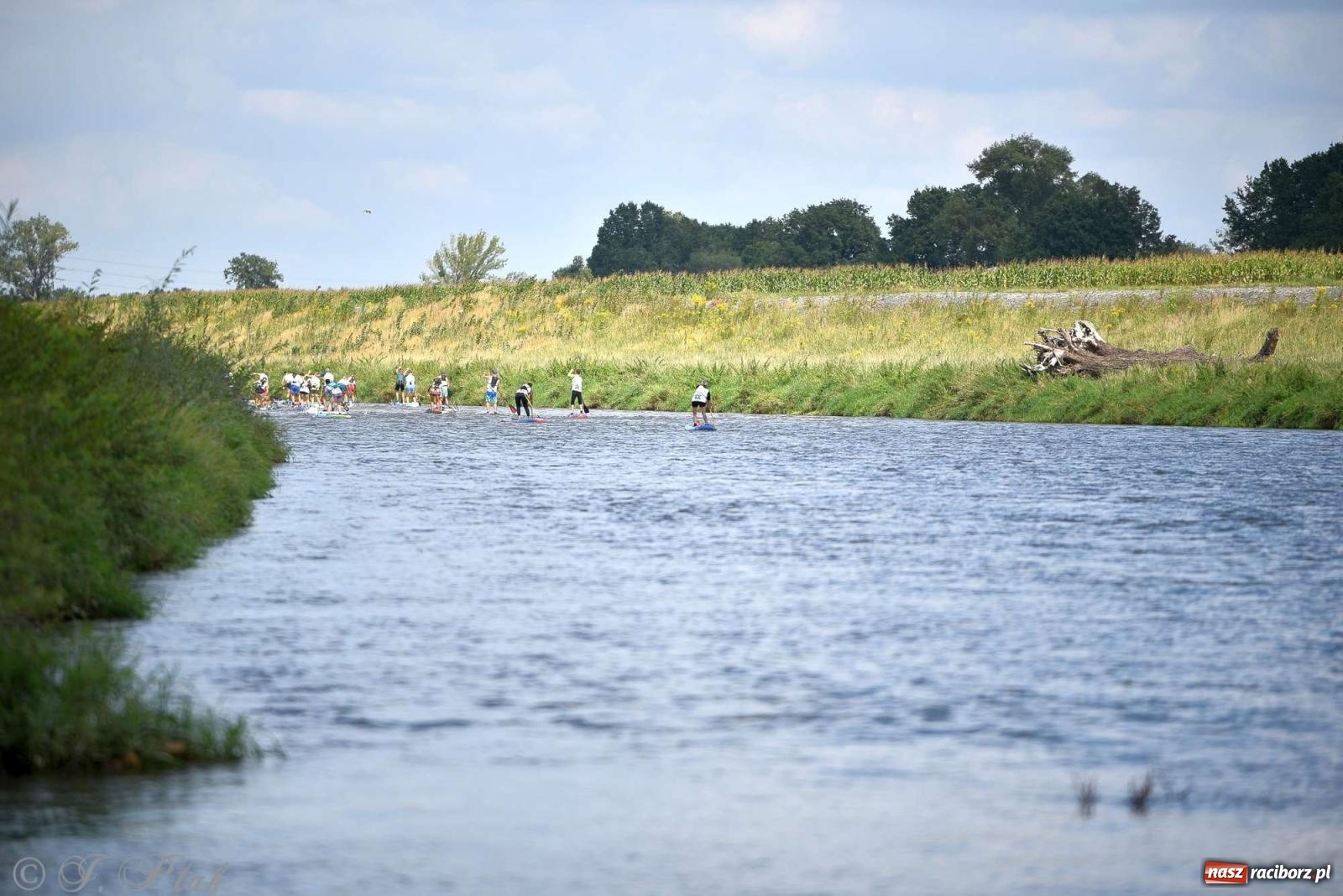 Zdjęcie w galerii na portalu naszraciborz.pl: Śmiałkowie pod zaporą. Najdłuższy dystans Odra Sup Cup 2023 [FOTO i WIDEO] wiadomości z regionu