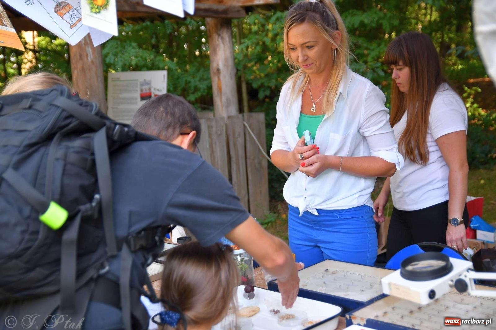 Zdjęcie w galerii na portalu naszraciborz.pl: Raciborski Piknik Leśny w Arboretum Bramy Morawskiej wiadomości z regionu