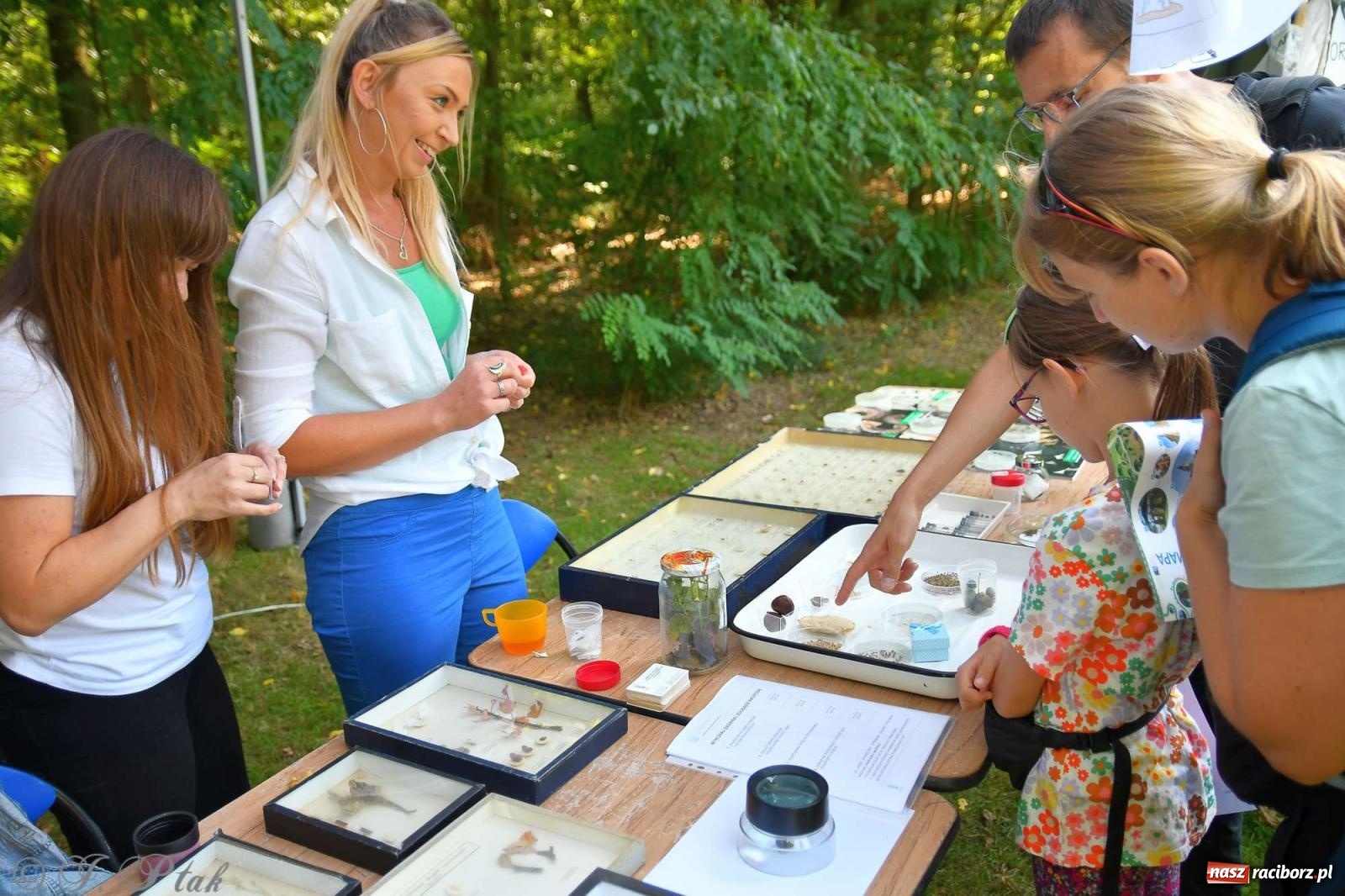 Zdjęcie w galerii na portalu naszraciborz.pl: Raciborski Piknik Leśny w Arboretum Bramy Morawskiej wiadomości z regionu