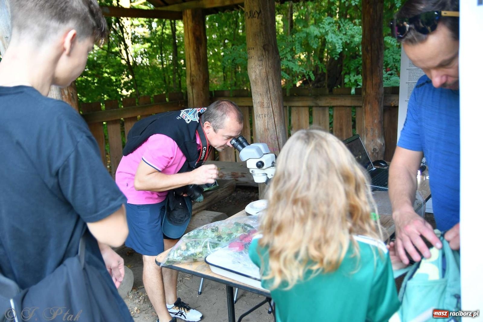 Zdjęcie w galerii na portalu naszraciborz.pl: Raciborski Piknik Leśny w Arboretum Bramy Morawskiej wiadomości z regionu