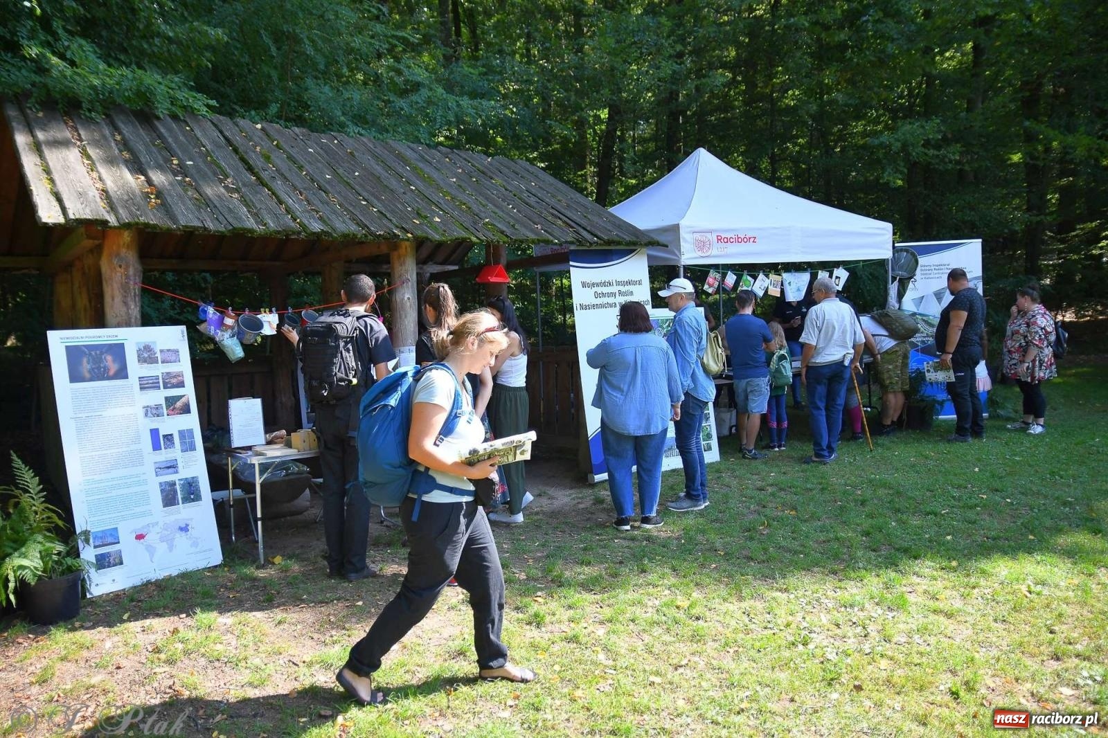 Zdjęcie w galerii na portalu naszraciborz.pl: Raciborski Piknik Leśny w Arboretum Bramy Morawskiej wiadomości z regionu