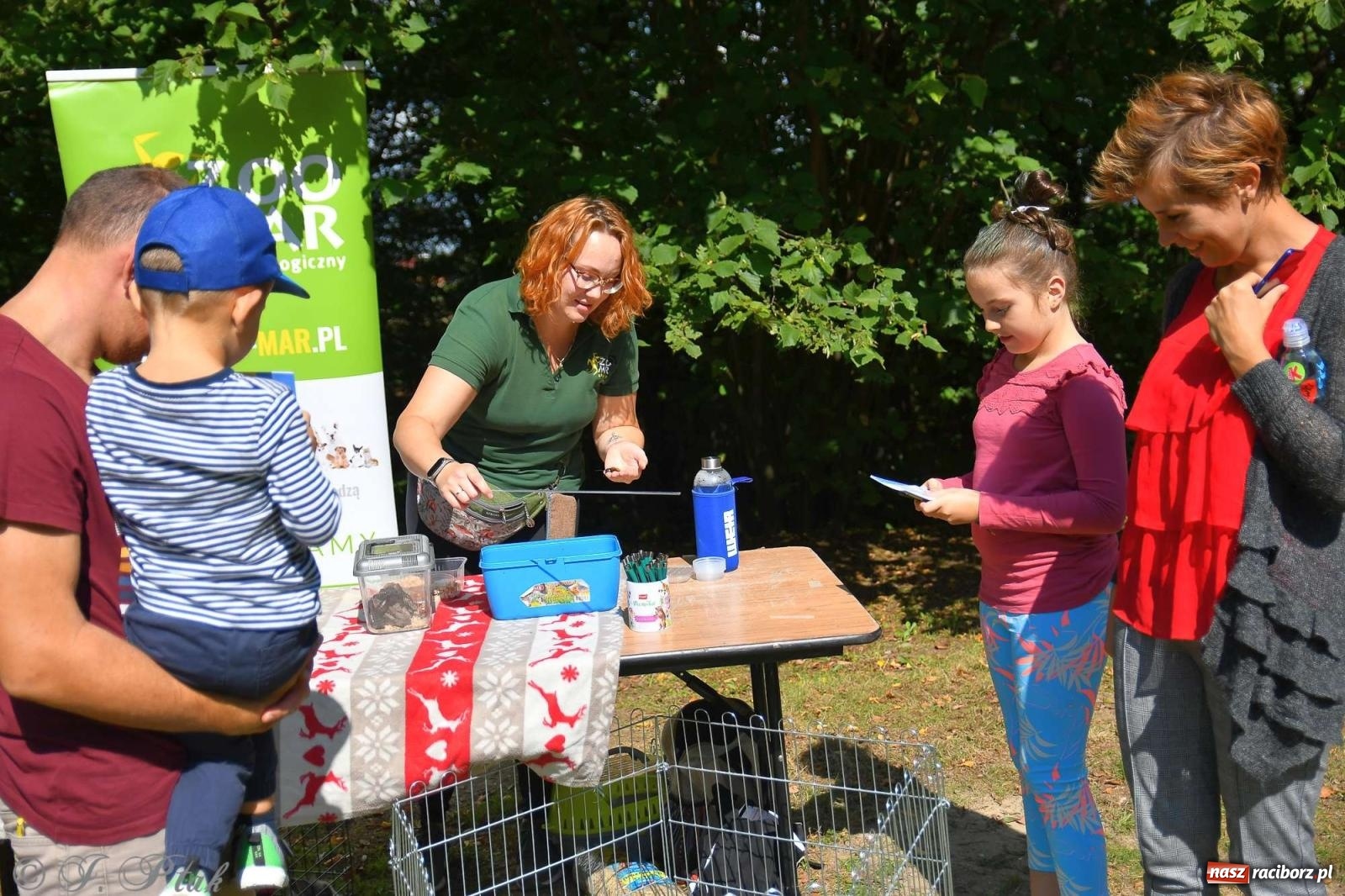 Zdjęcie w galerii na portalu naszraciborz.pl: Raciborski Piknik Leśny w Arboretum Bramy Morawskiej wiadomości z regionu