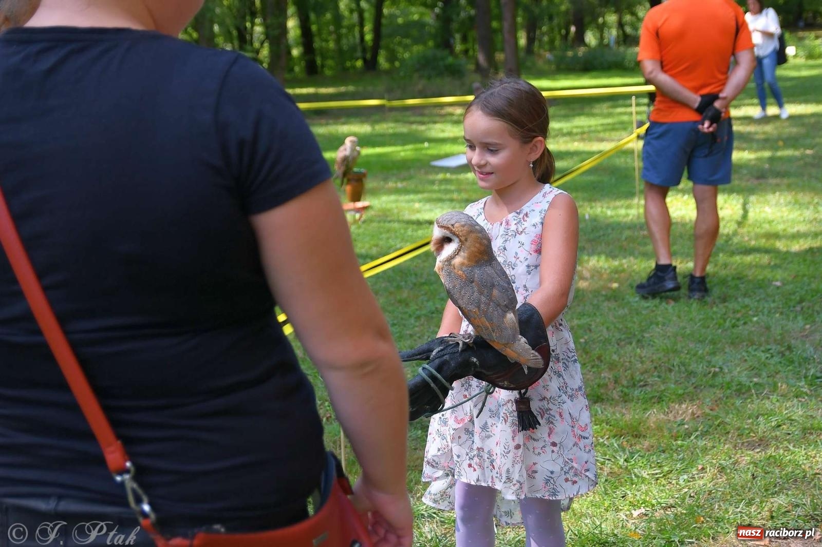 Zdjęcie w galerii na portalu naszraciborz.pl: Raciborski Piknik Leśny w Arboretum Bramy Morawskiej wiadomości z regionu