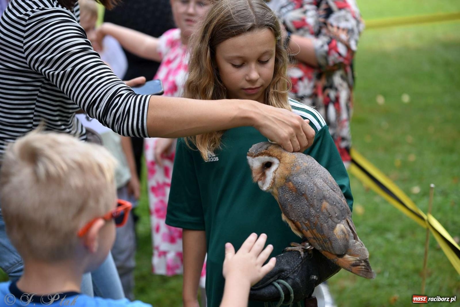 Zdjęcie w galerii na portalu naszraciborz.pl: Raciborski Piknik Leśny w Arboretum Bramy Morawskiej wiadomości z regionu