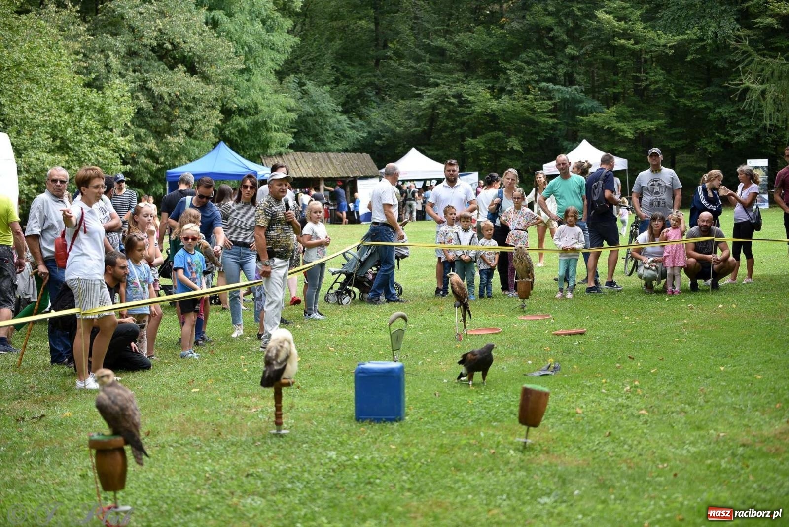 Zdjęcie w galerii na portalu naszraciborz.pl: Raciborski Piknik Leśny w Arboretum Bramy Morawskiej wiadomości z regionu