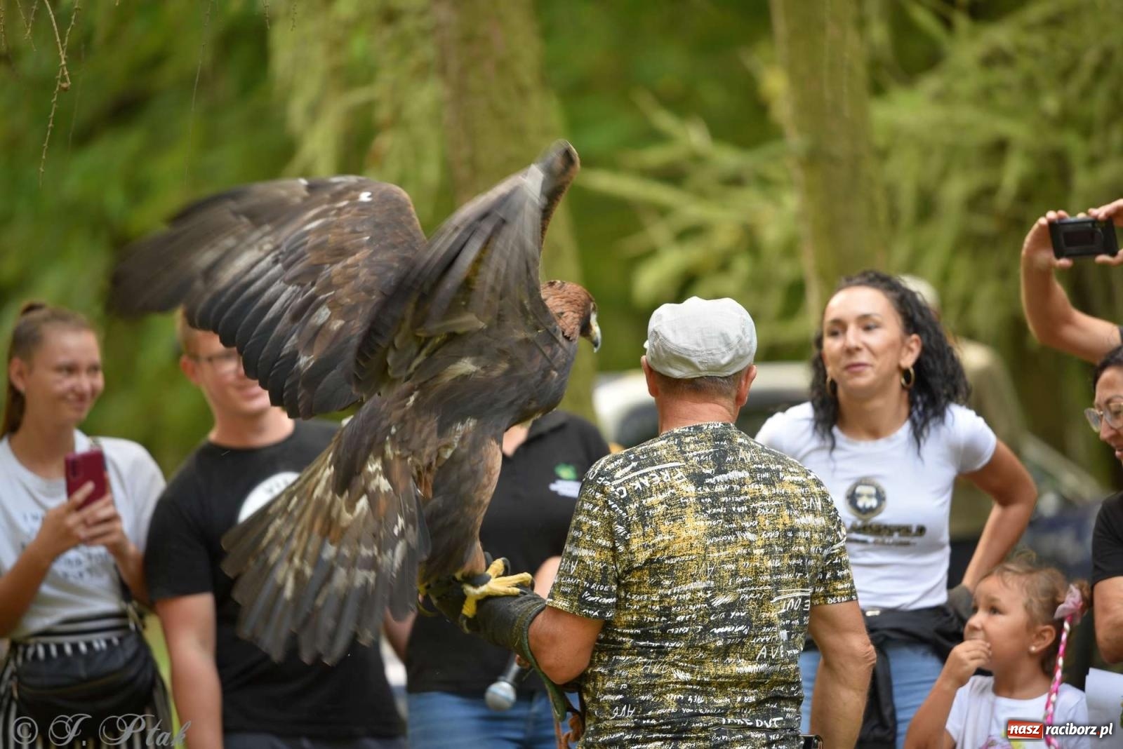 Zdjęcie w galerii na portalu naszraciborz.pl: Raciborski Piknik Leśny w Arboretum Bramy Morawskiej wiadomości z regionu