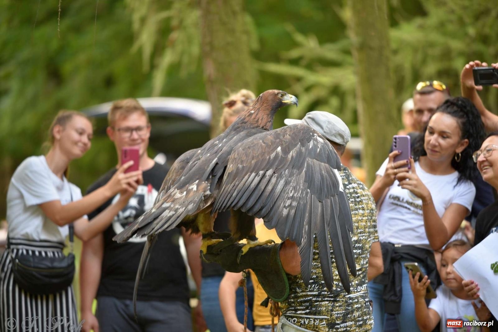 Zdjęcie w galerii na portalu naszraciborz.pl: Raciborski Piknik Leśny w Arboretum Bramy Morawskiej wiadomości z regionu