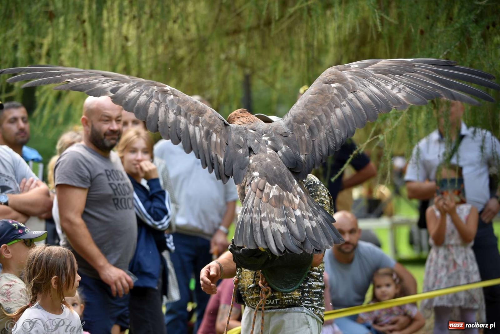 Zdjęcie w galerii na portalu naszraciborz.pl: Raciborski Piknik Leśny w Arboretum Bramy Morawskiej wiadomości z regionu
