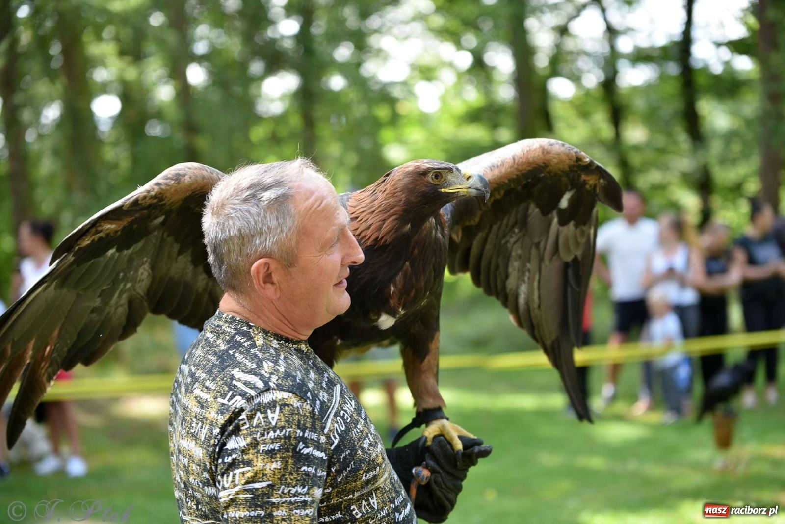 Zdjęcie w galerii na portalu naszraciborz.pl: Raciborski Piknik Leśny w Arboretum Bramy Morawskiej wiadomości z regionu