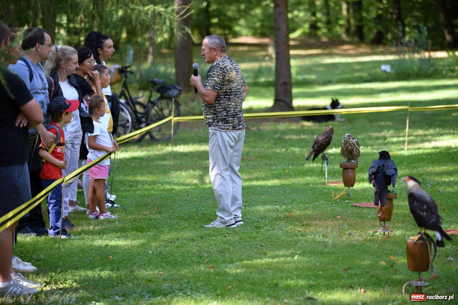 Zdjęcie w galerii na portalu naszraciborz.pl: Raciborski Piknik Leśny w Arboretum Bramy Morawskiej wiadomości z regionu